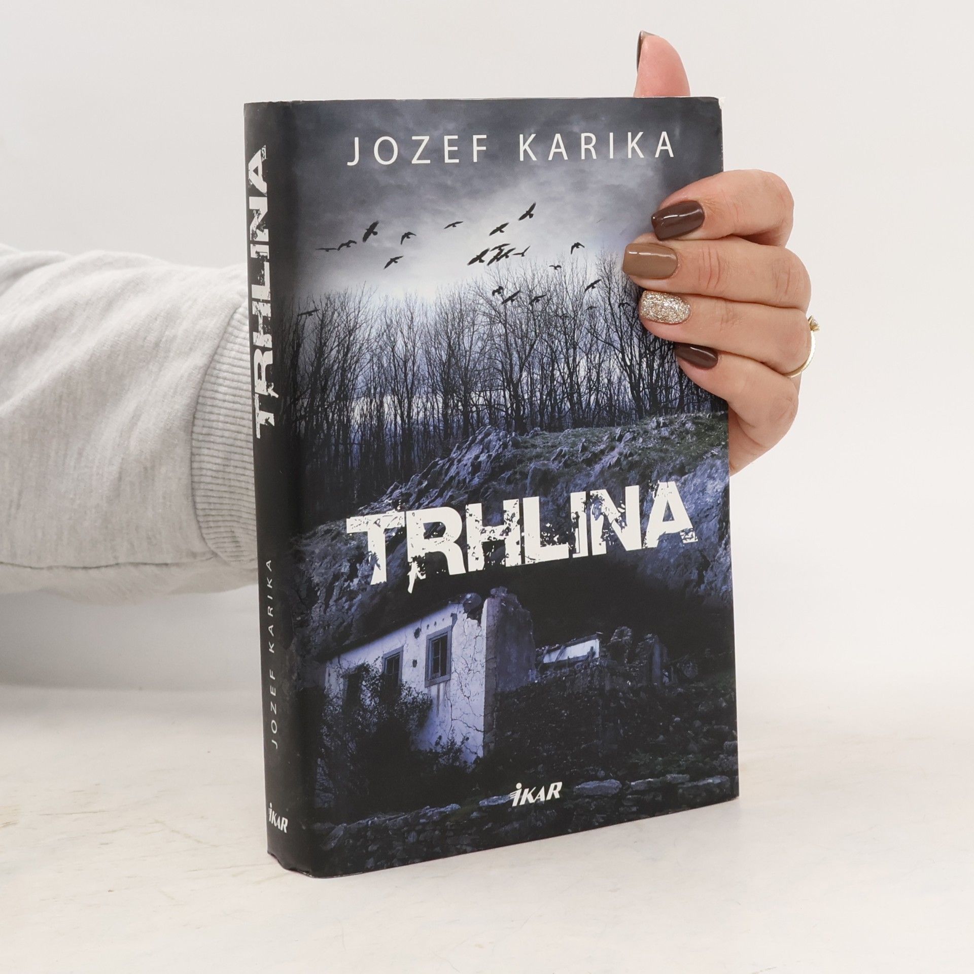 Jozef Karika Trhlina