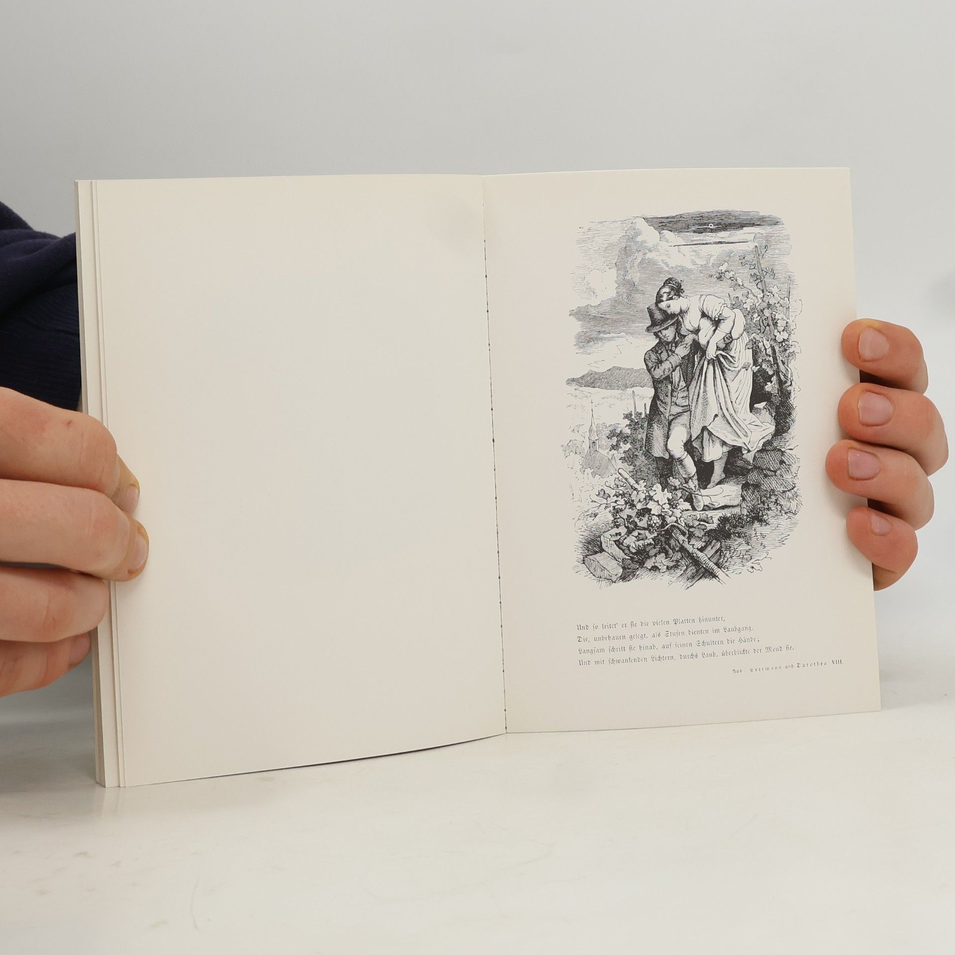 Ludwig Richter Goethe-Album