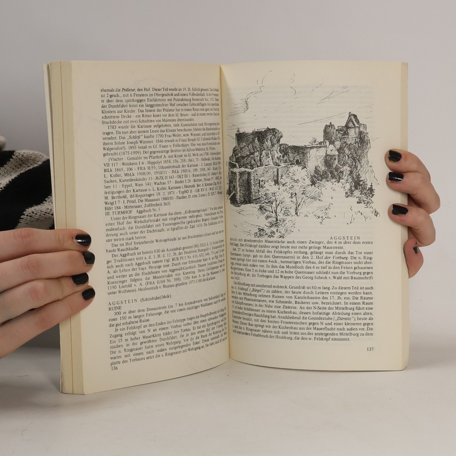 Rudolf Büttner Niederösterreichs Burgen und Schlösser - II/2: Burgen und Schlösser Dunkelsteinerwald