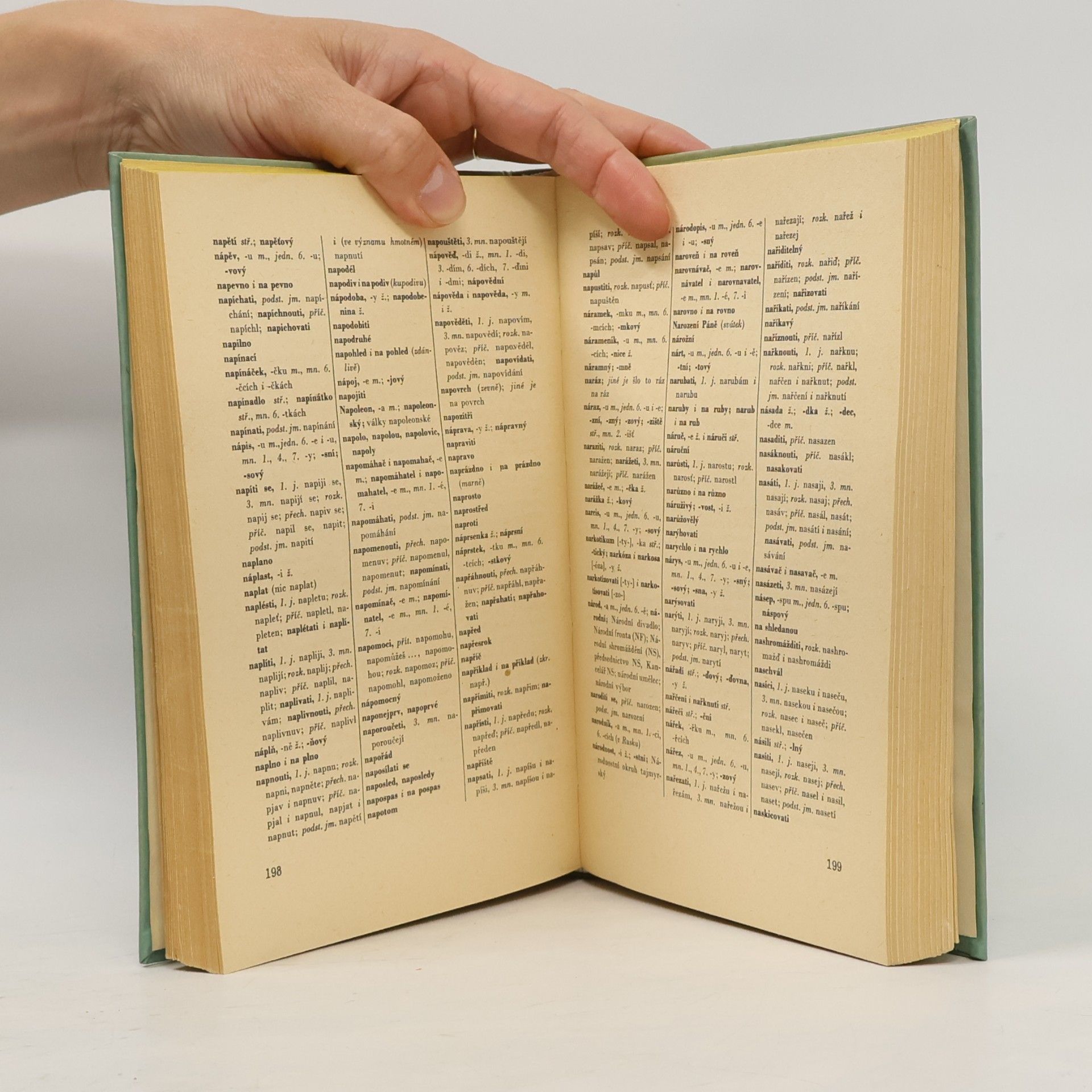 Autorenkollektiv Pravidla českého pravopisu. Školní vydání