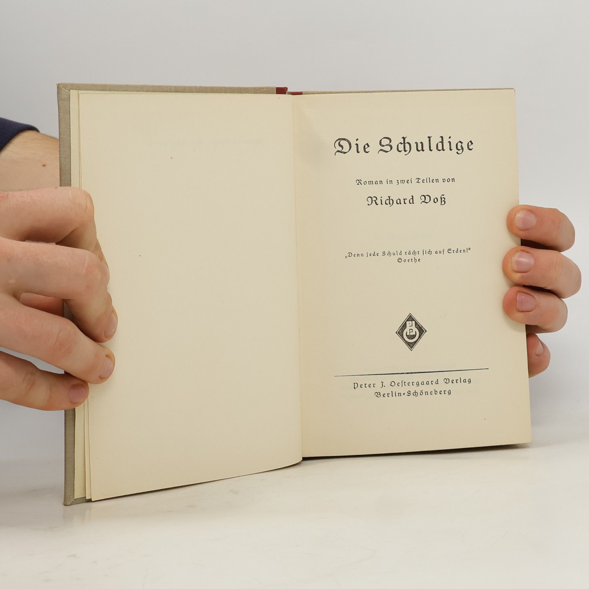 Richard Voss Die Schuldige