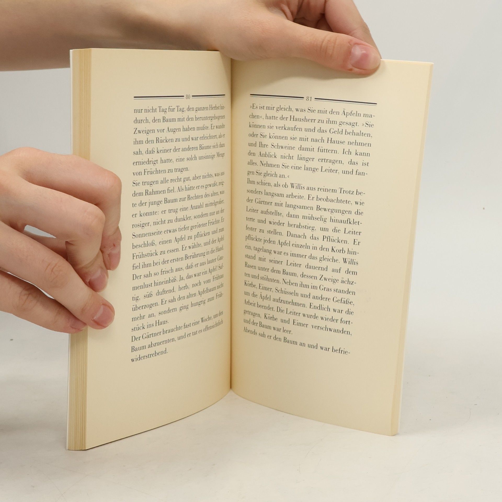 Daphne du Maurier Der Apfelbaum