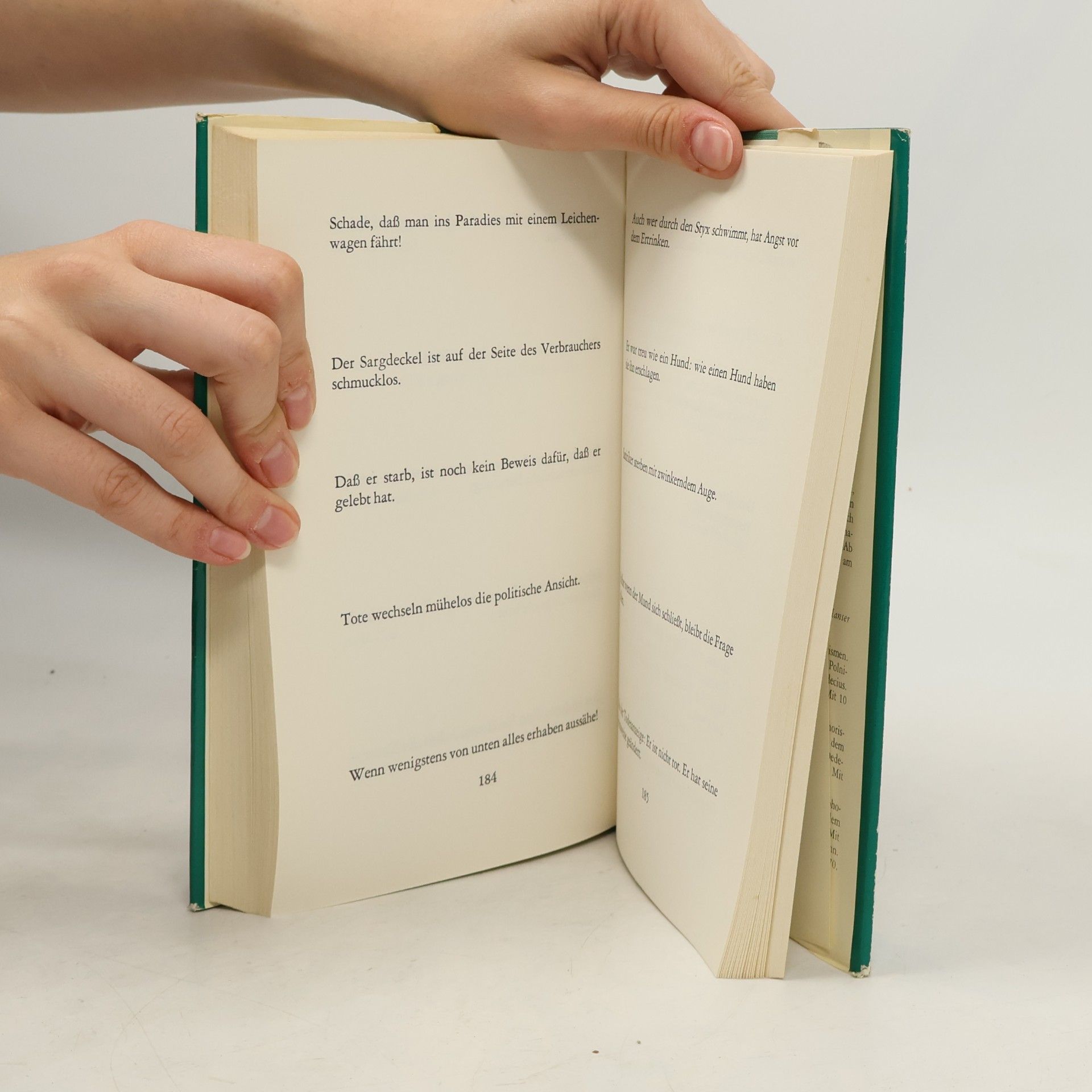 Stanisław Jerzy Lec Das grosse Buch der unfrisierten Gedanken