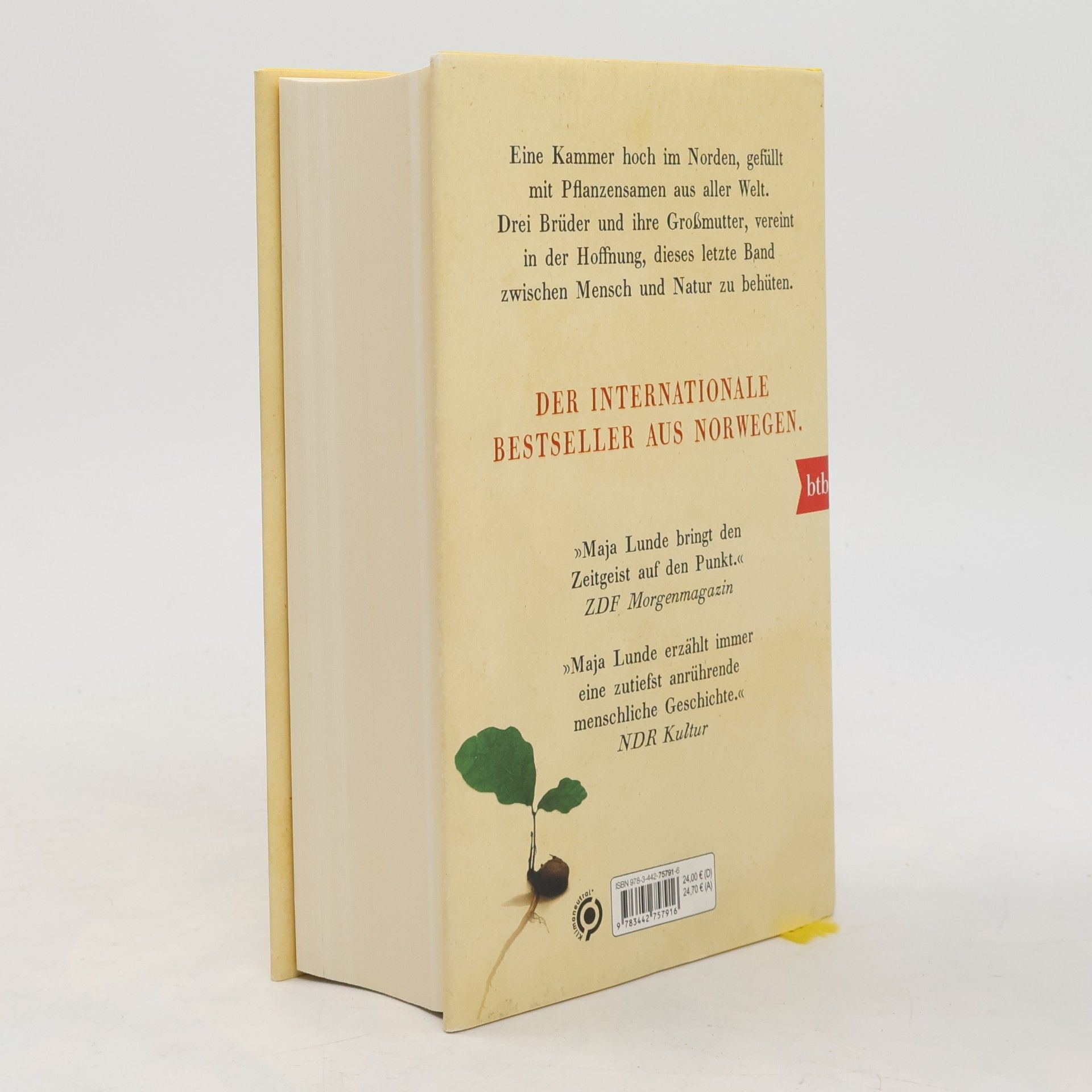 Maja Lunde Der Traum von einem Baum