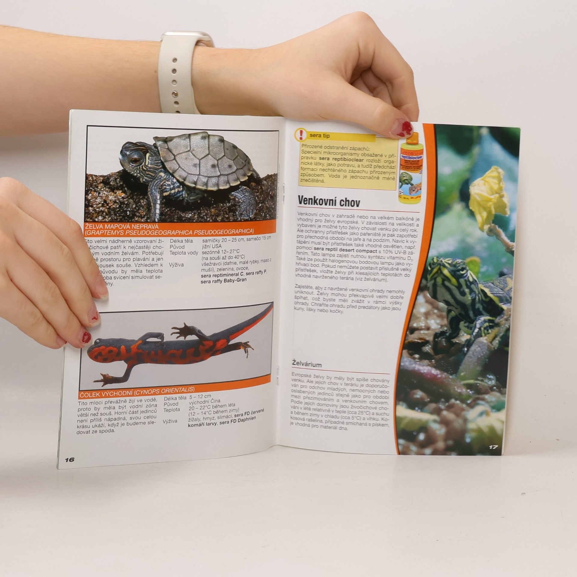Kolektiv autorů Biotopová terária pro plazy a obojživelníky