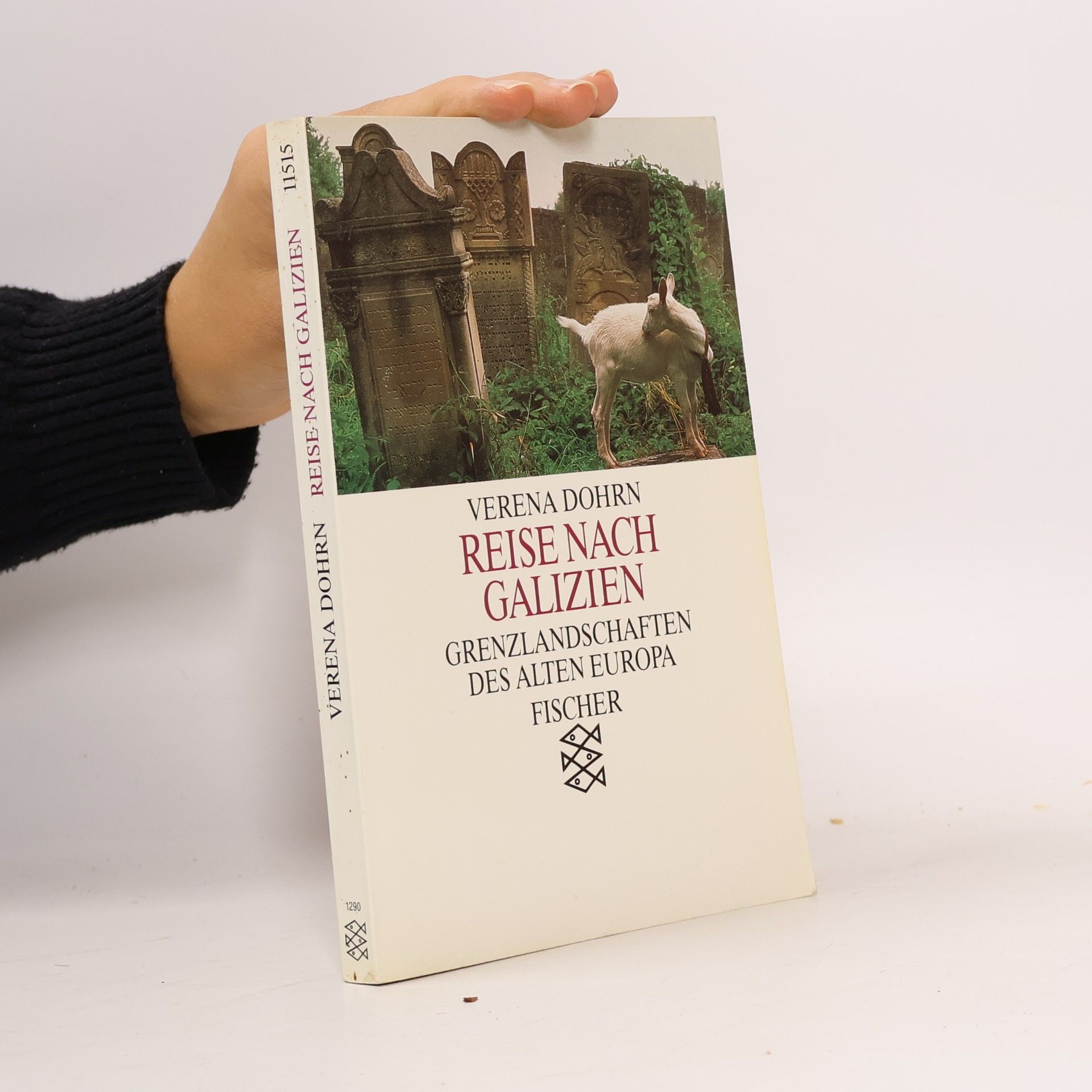 Verena Dohrn Reise nach Galizien