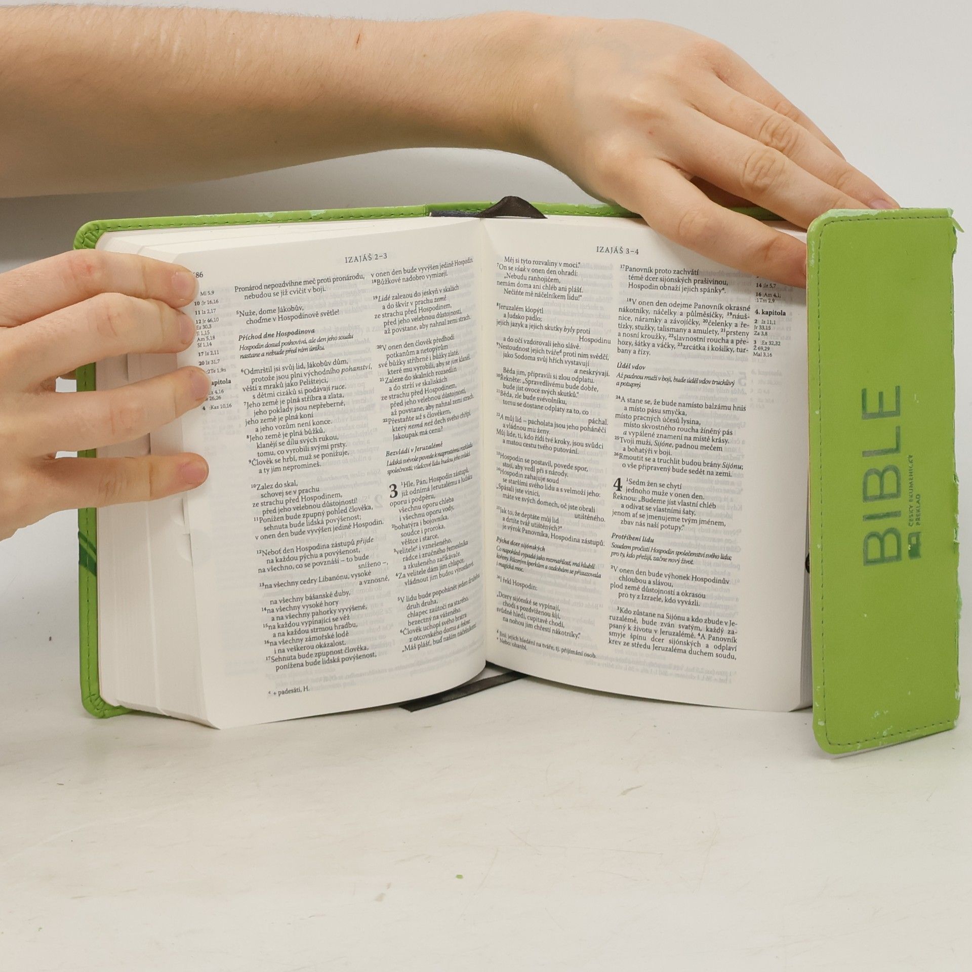 Auteurscollectief Bible