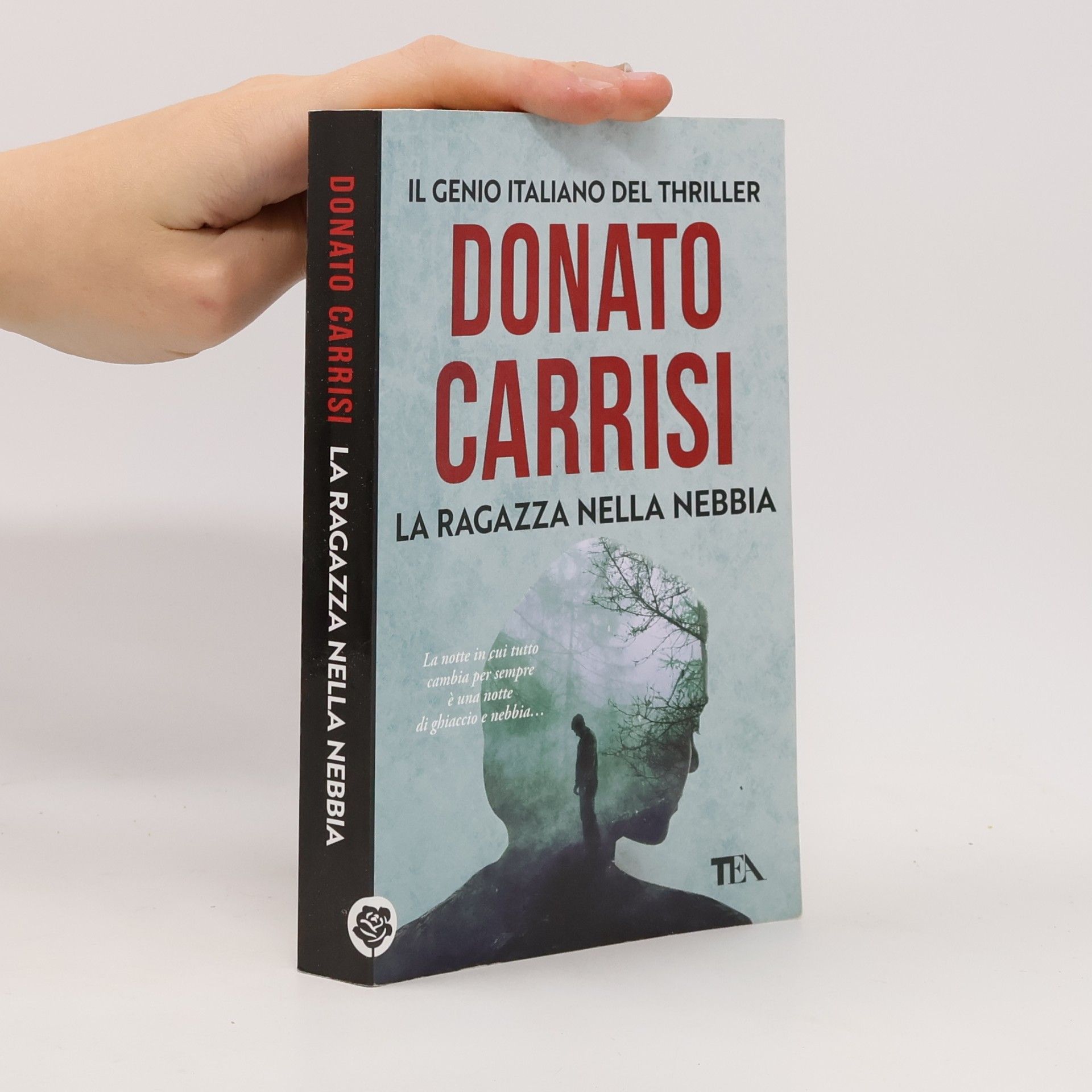 Donato Carrisi La ragazza nella nebbia