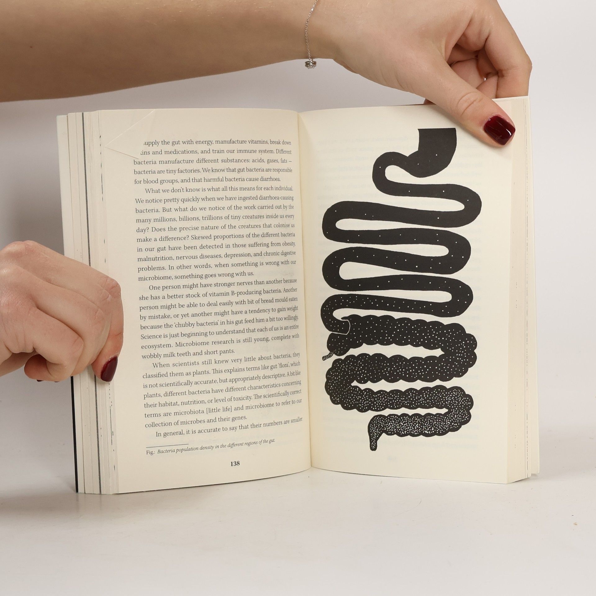 Giulia Enders Gut : the inside story of our body's most underrated organ