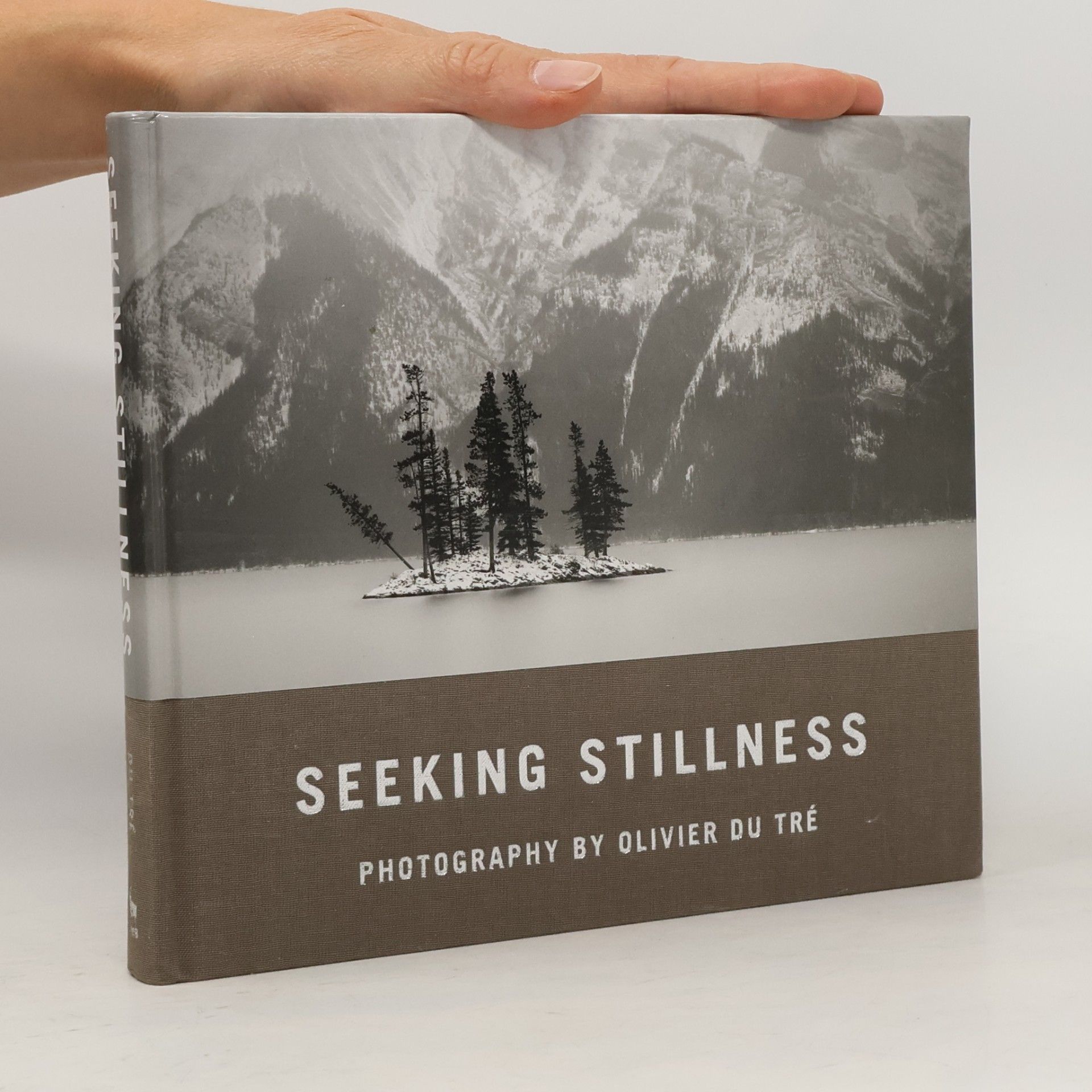 Seeking Stillness