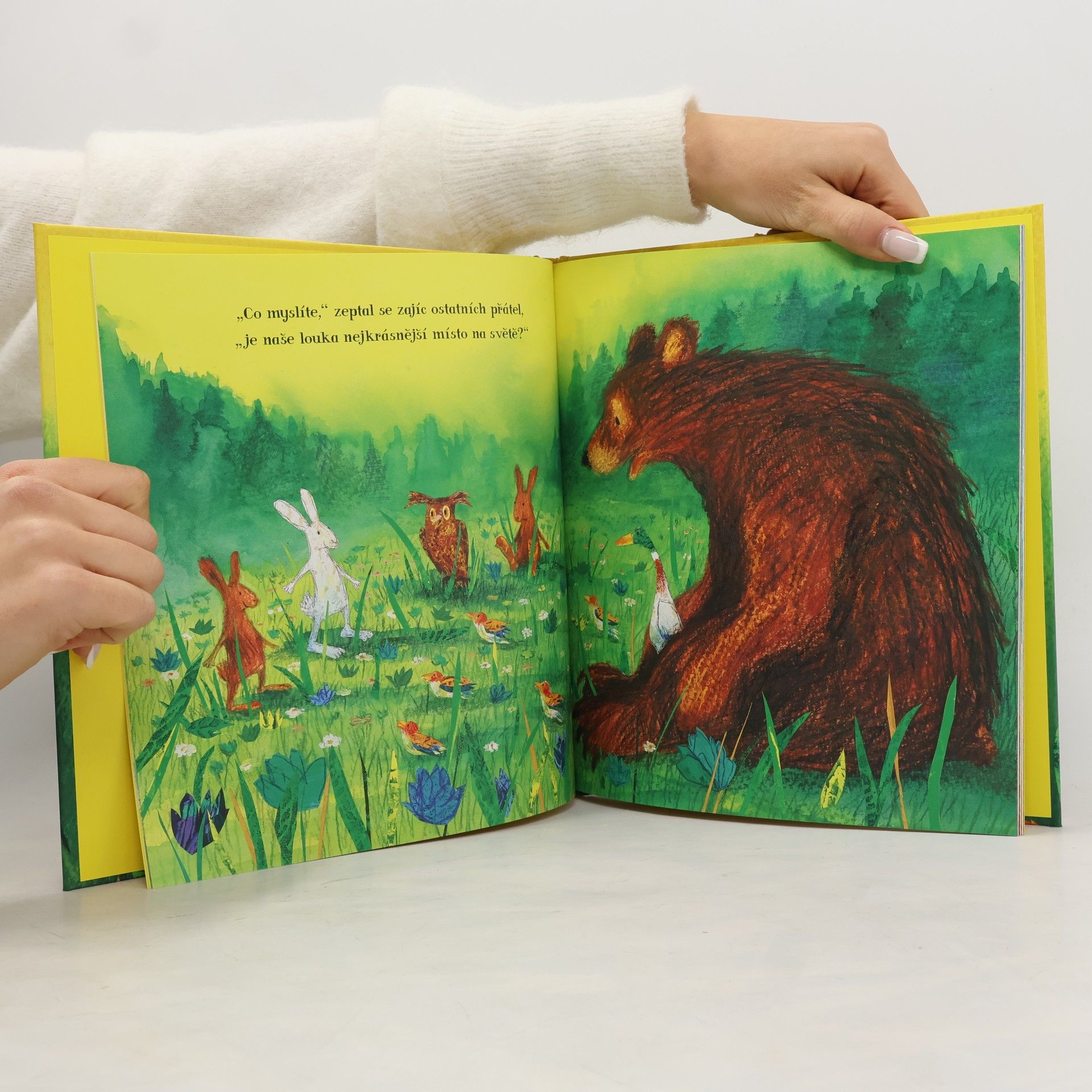 Petr Horác̆ek Nejkrásnější místo na světě