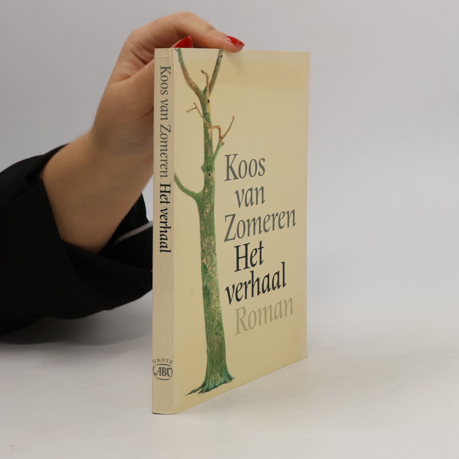 Het verhaal