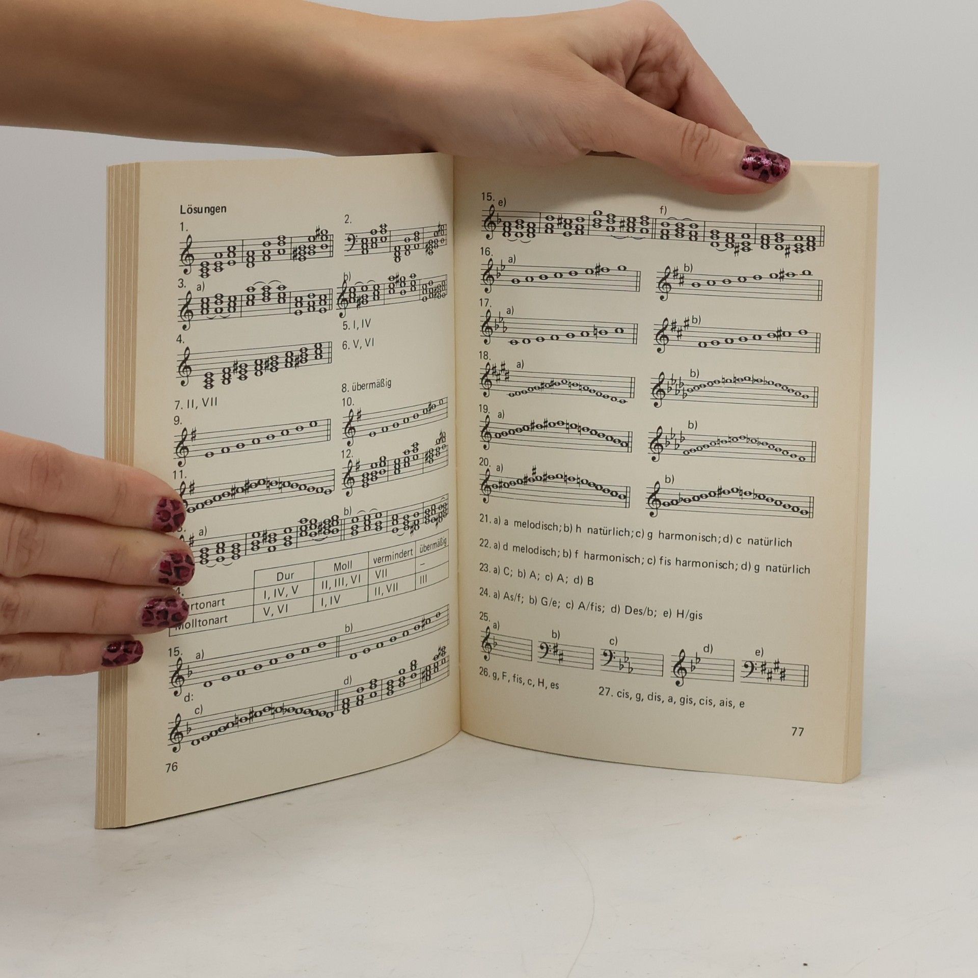Lisl Hammaleser Übungsprogramm Musiklehre compact