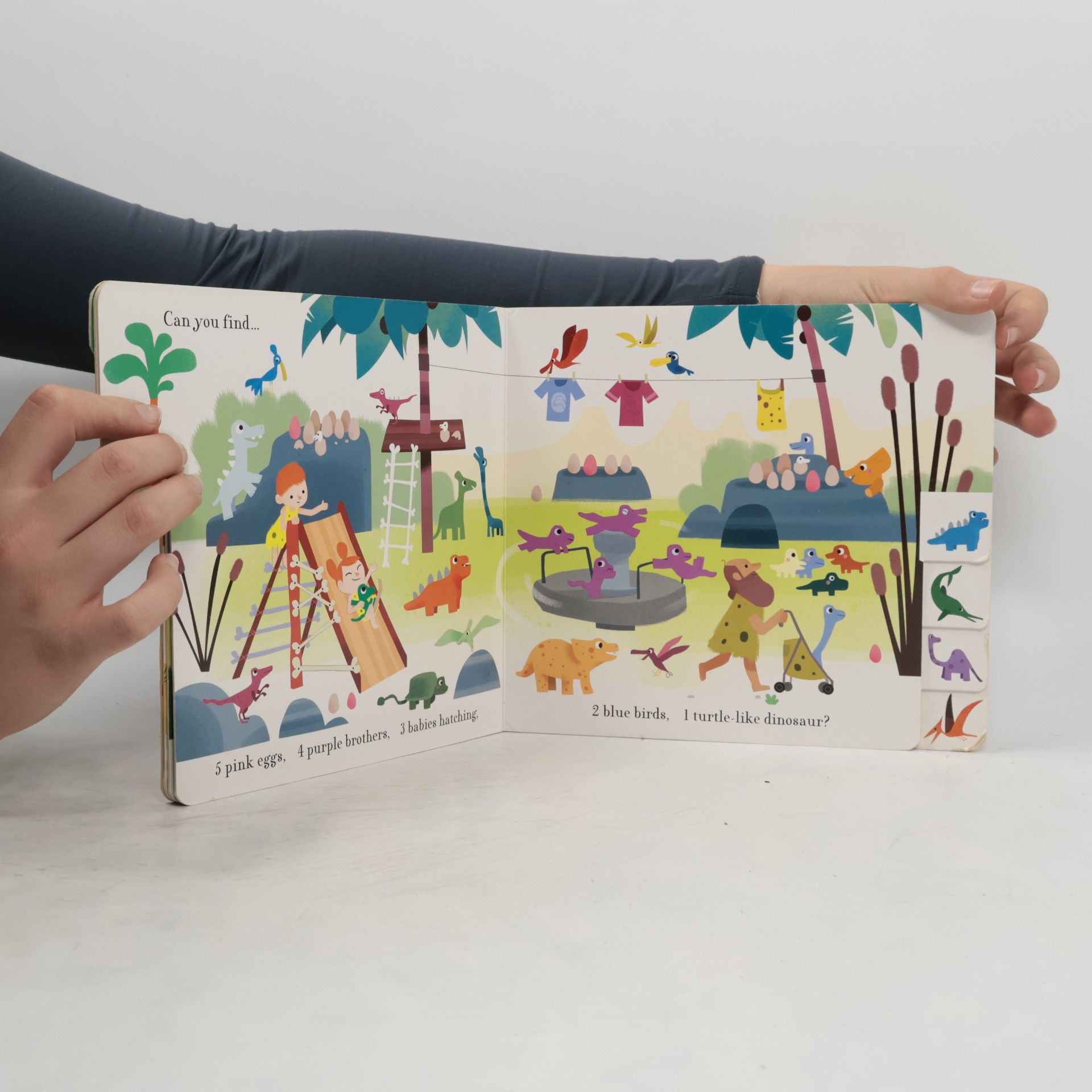 Mara Van der Meer Counting dinosaurs