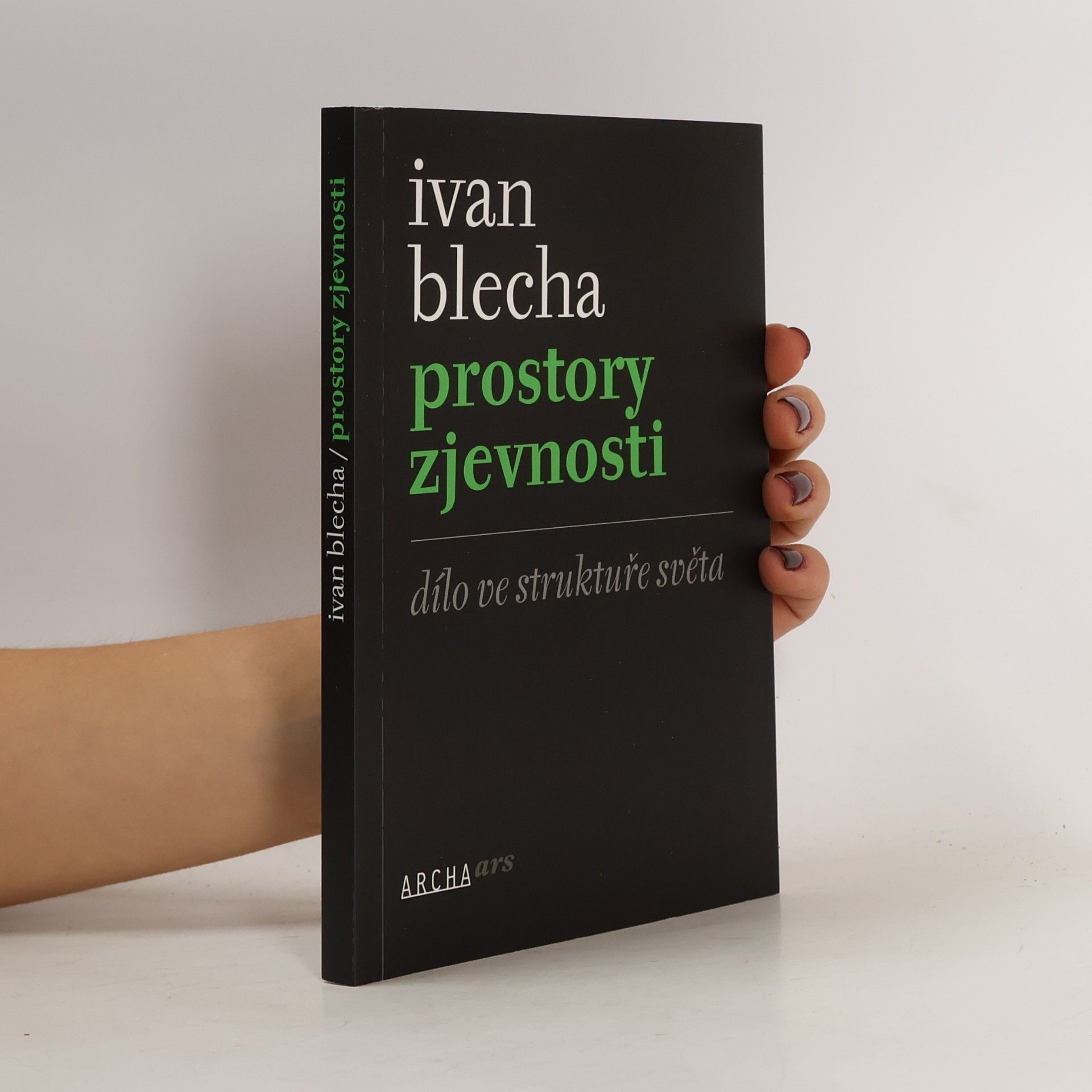 Prostory zjevnosti: Dílo ve struktuře světa
