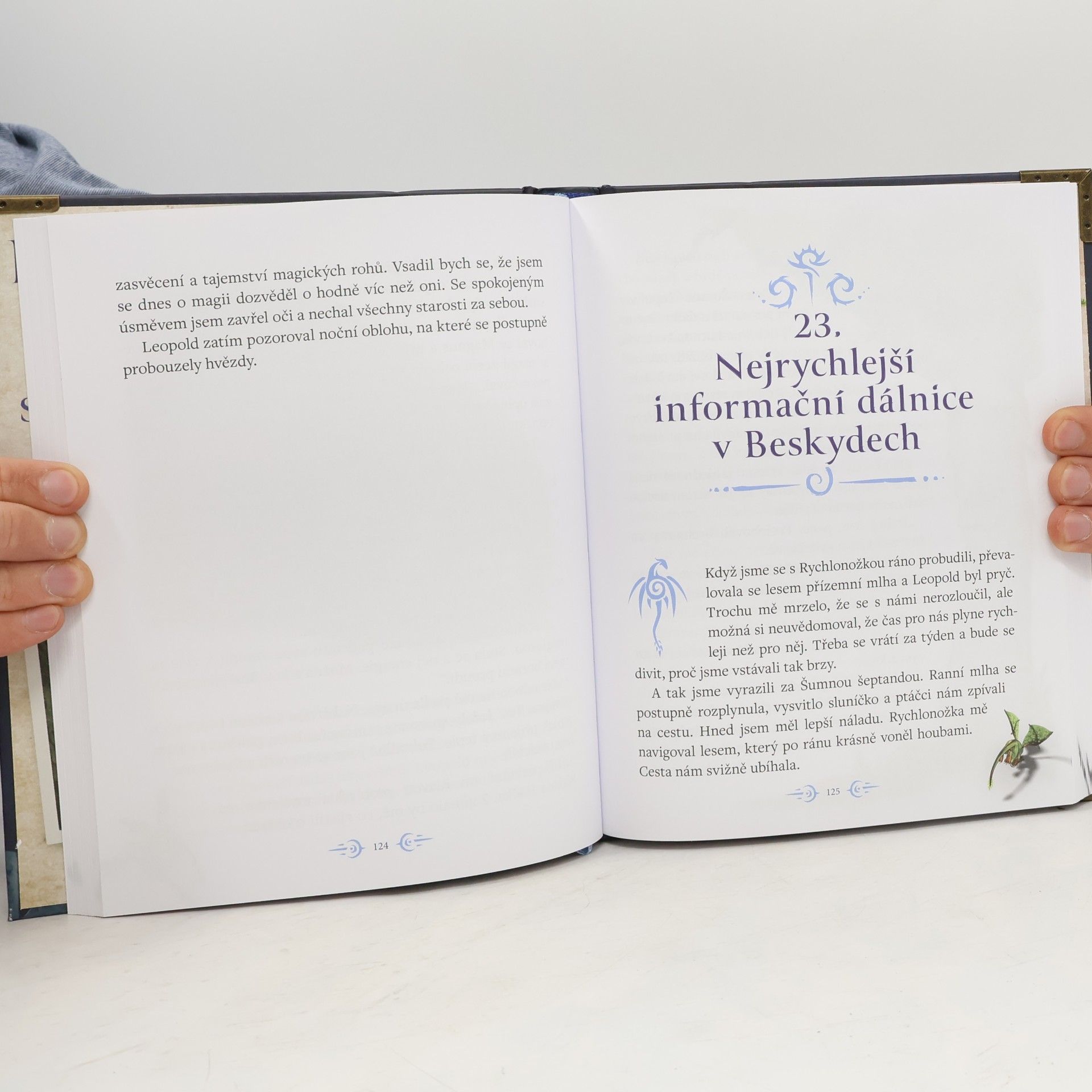 Jan Tkáč Kroniky beskydských draků: Nečekané dobrodružství draka Ilíka
