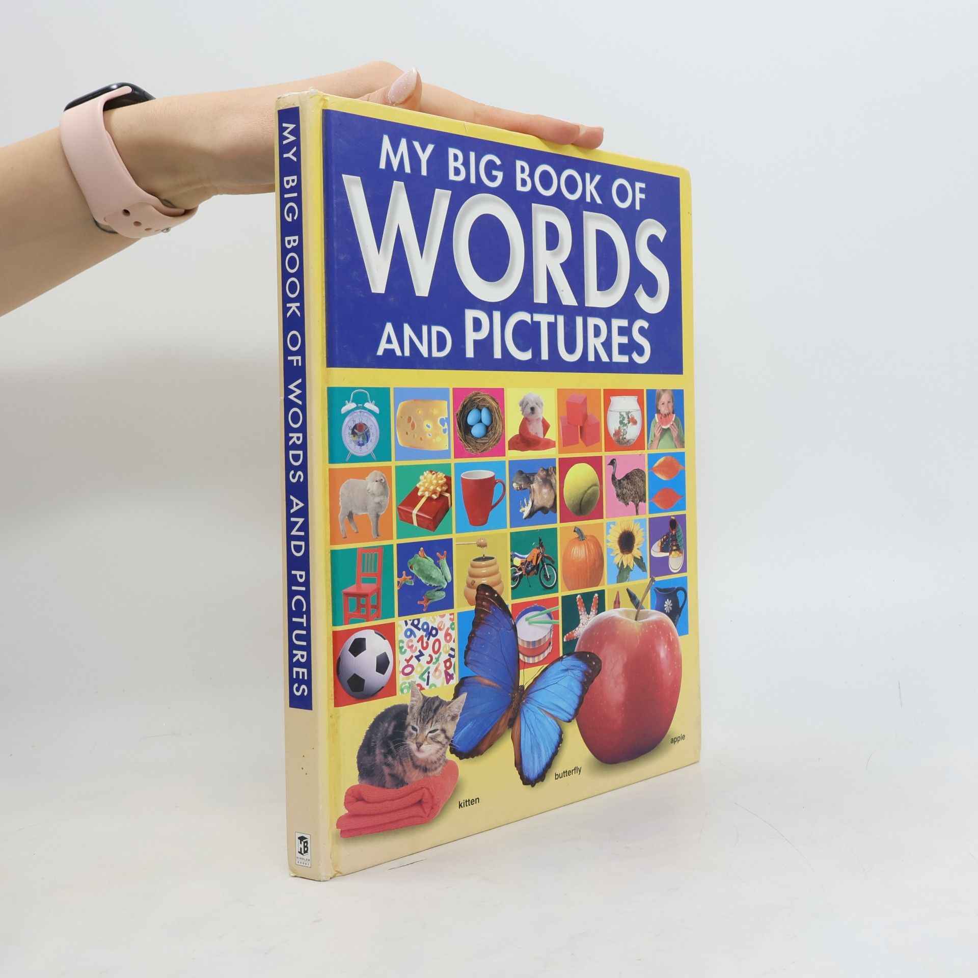 My Big Book of Words and Pictures