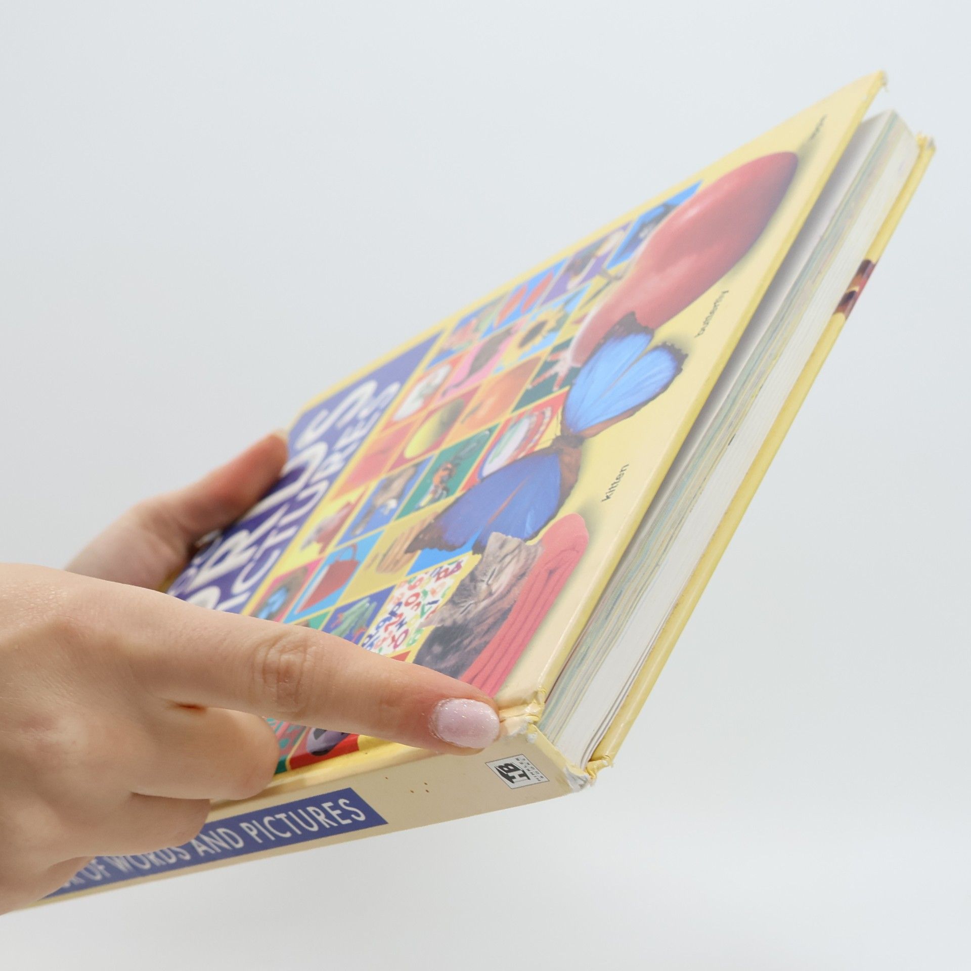 Julie Haydon My Big Book of Words and Pictures