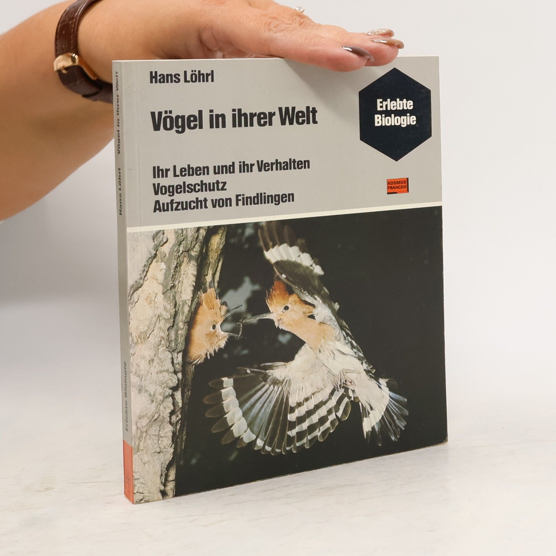 Hans Löhrl Vögel in ihrer Welt