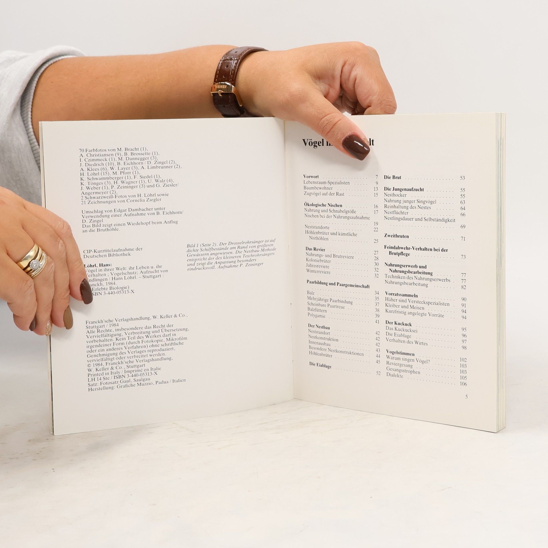 Hans Löhrl Vögel in ihrer Welt