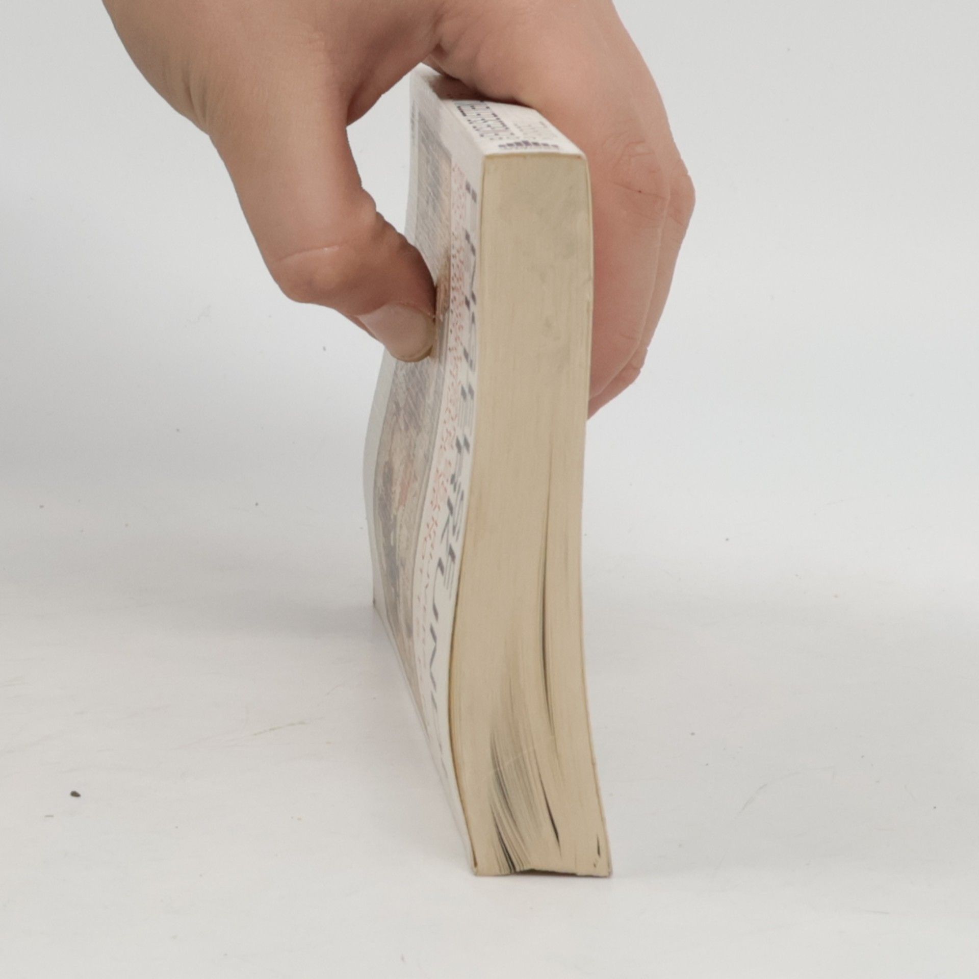 T.A. Birrell Prisma pocket - 2568: Engelse letterkunde