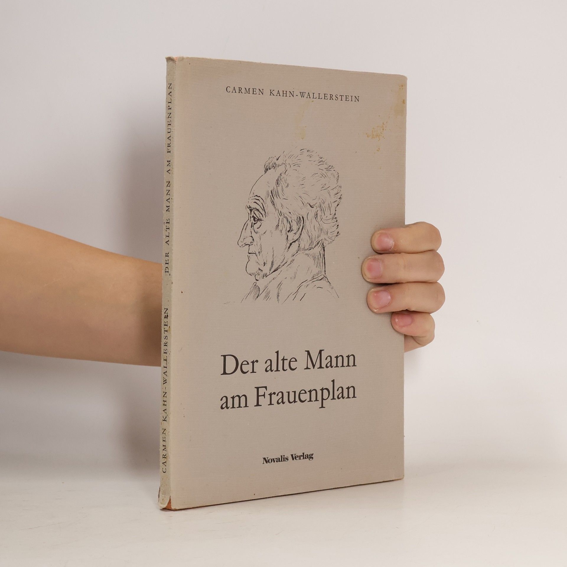 Der alte Mann am Frauenplan