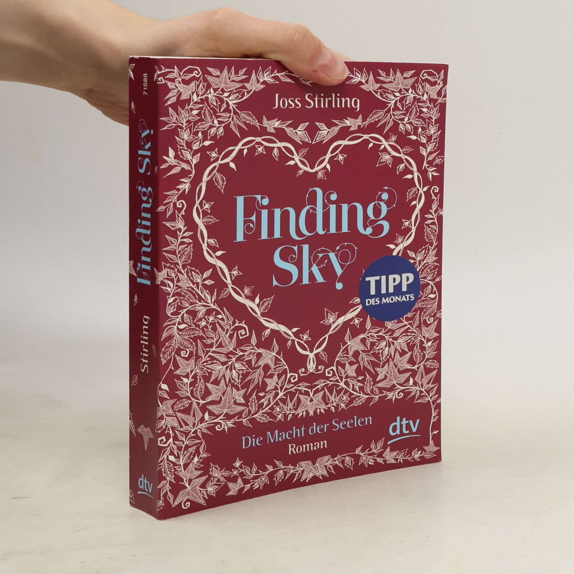 Finding Sky