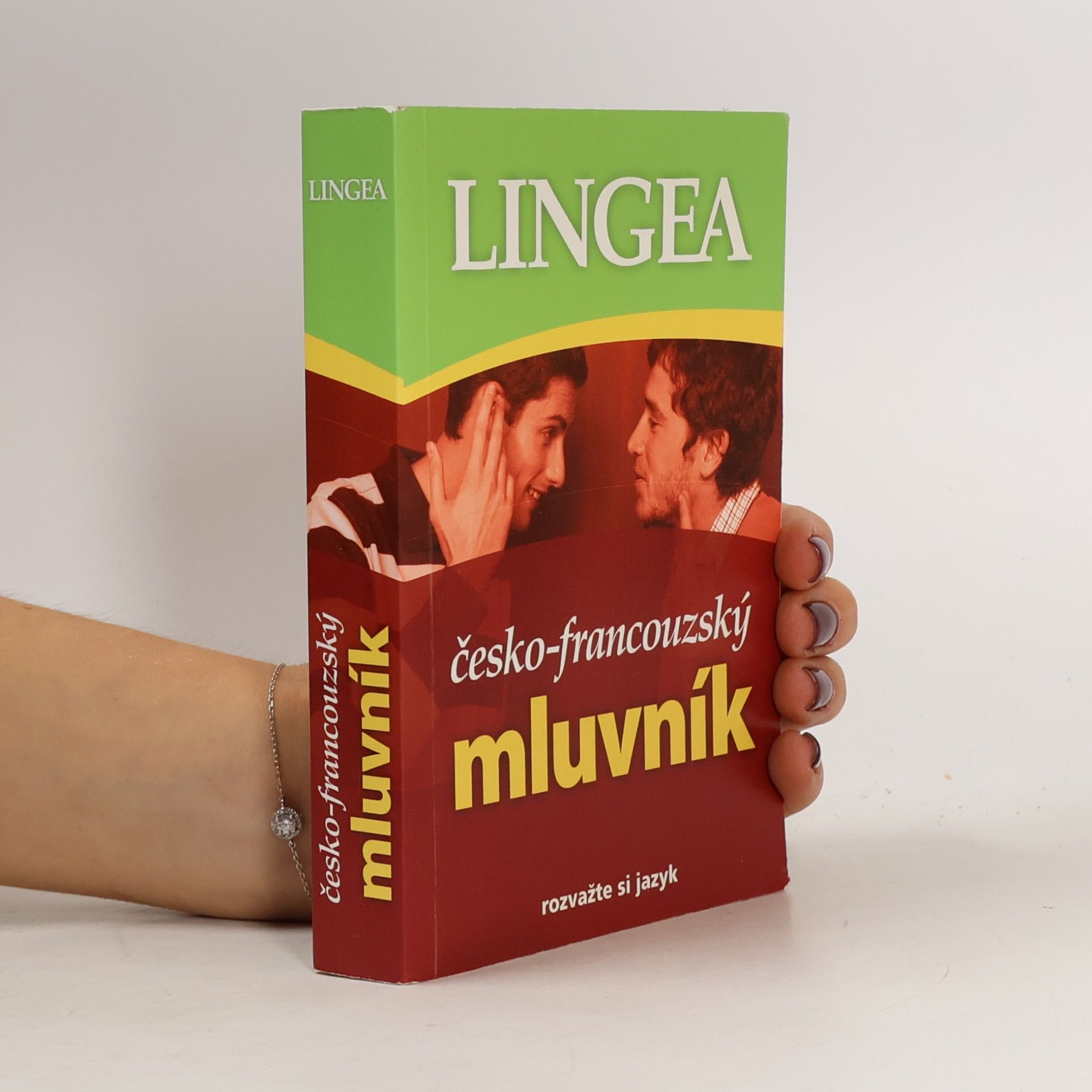 Various authors Česko-francouzský mluvník
