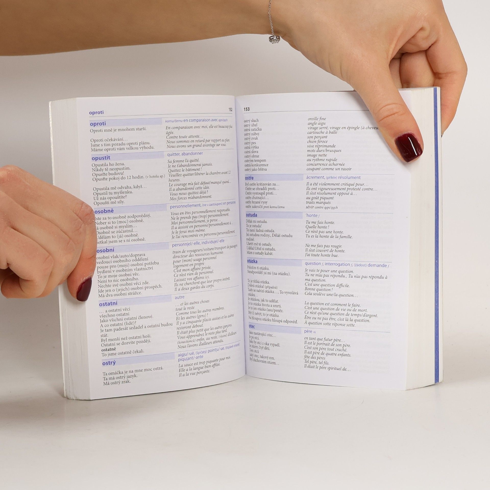 Various authors Česko-francouzský mluvník