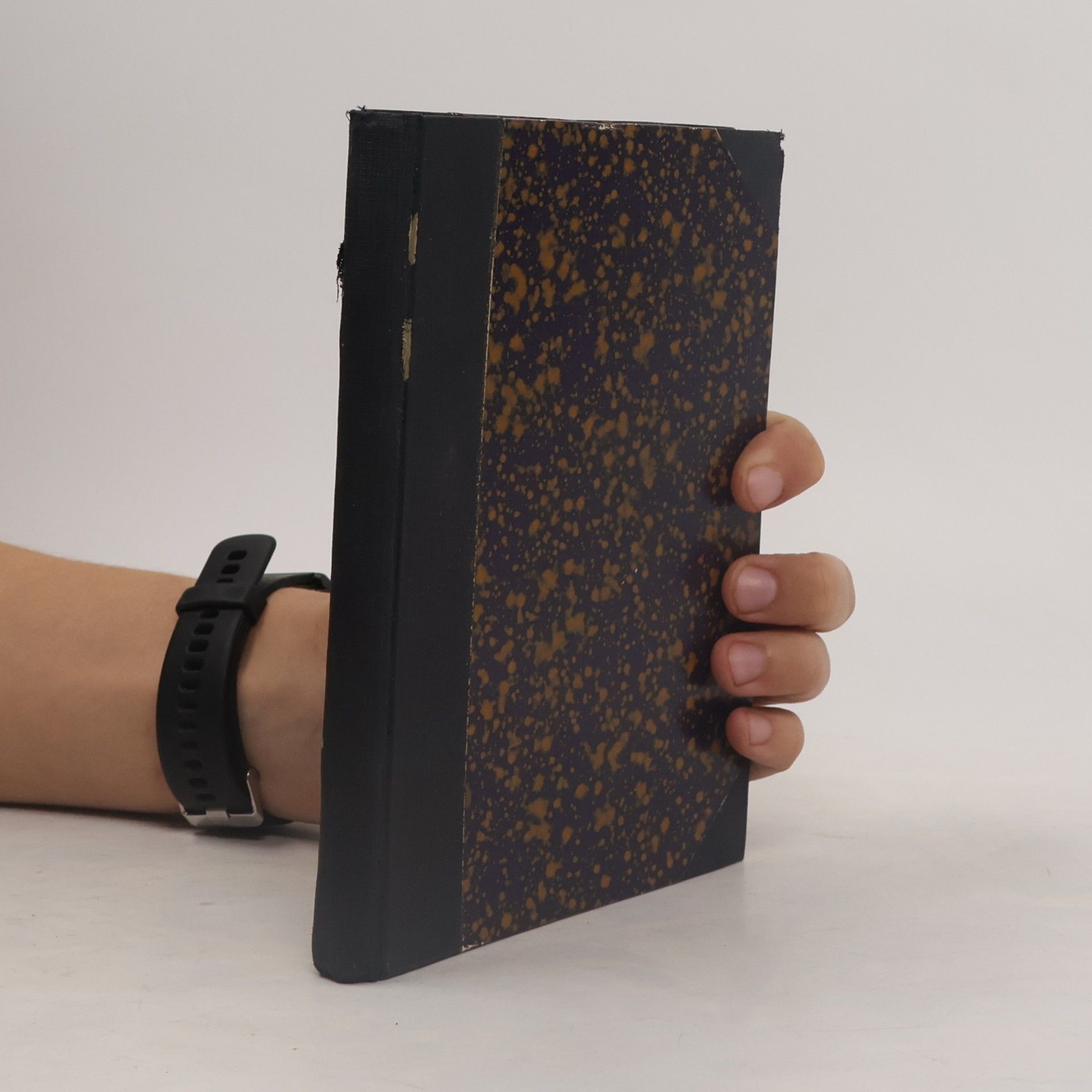 Vlasta Pittnerová Rodina Kulichova : obrazy z malého města