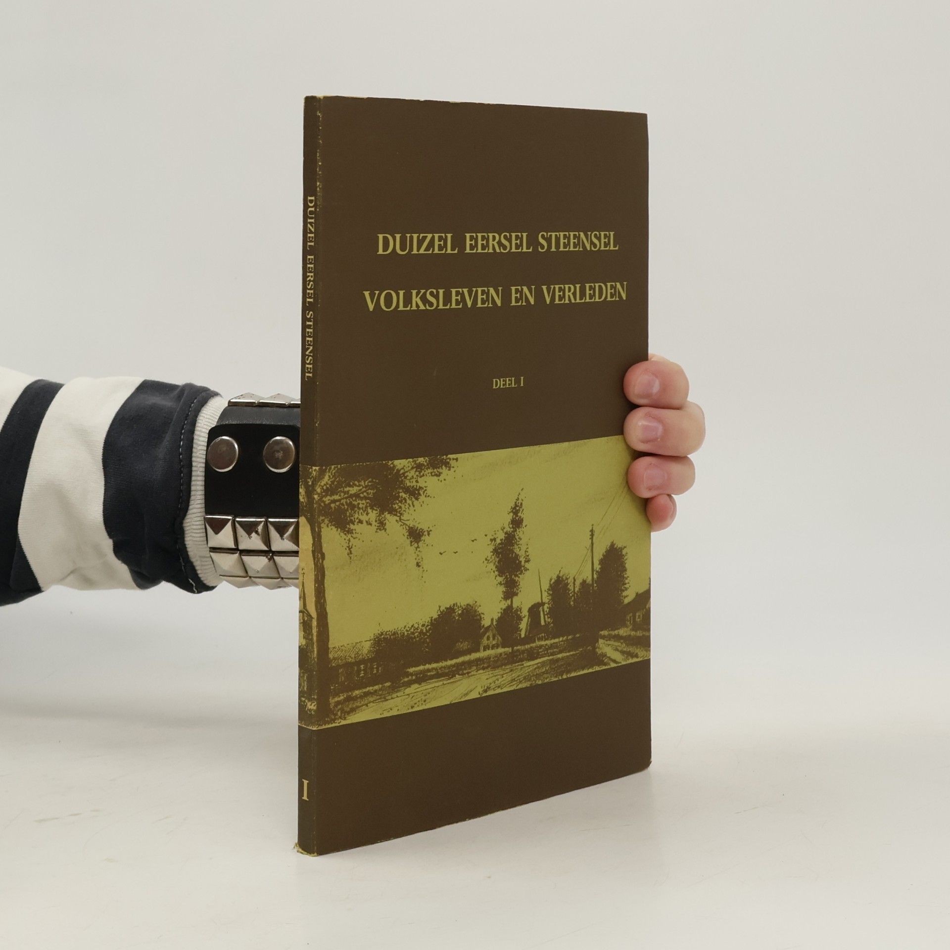 Various authors Duizel Eersel Steensel