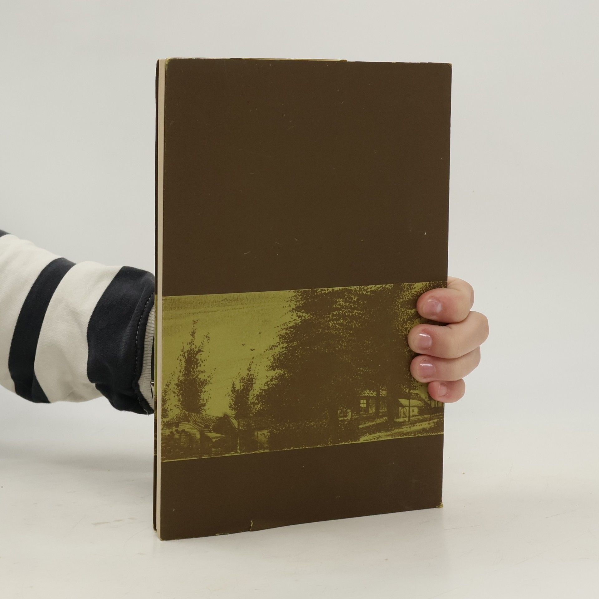 Various authors Duizel Eersel Steensel