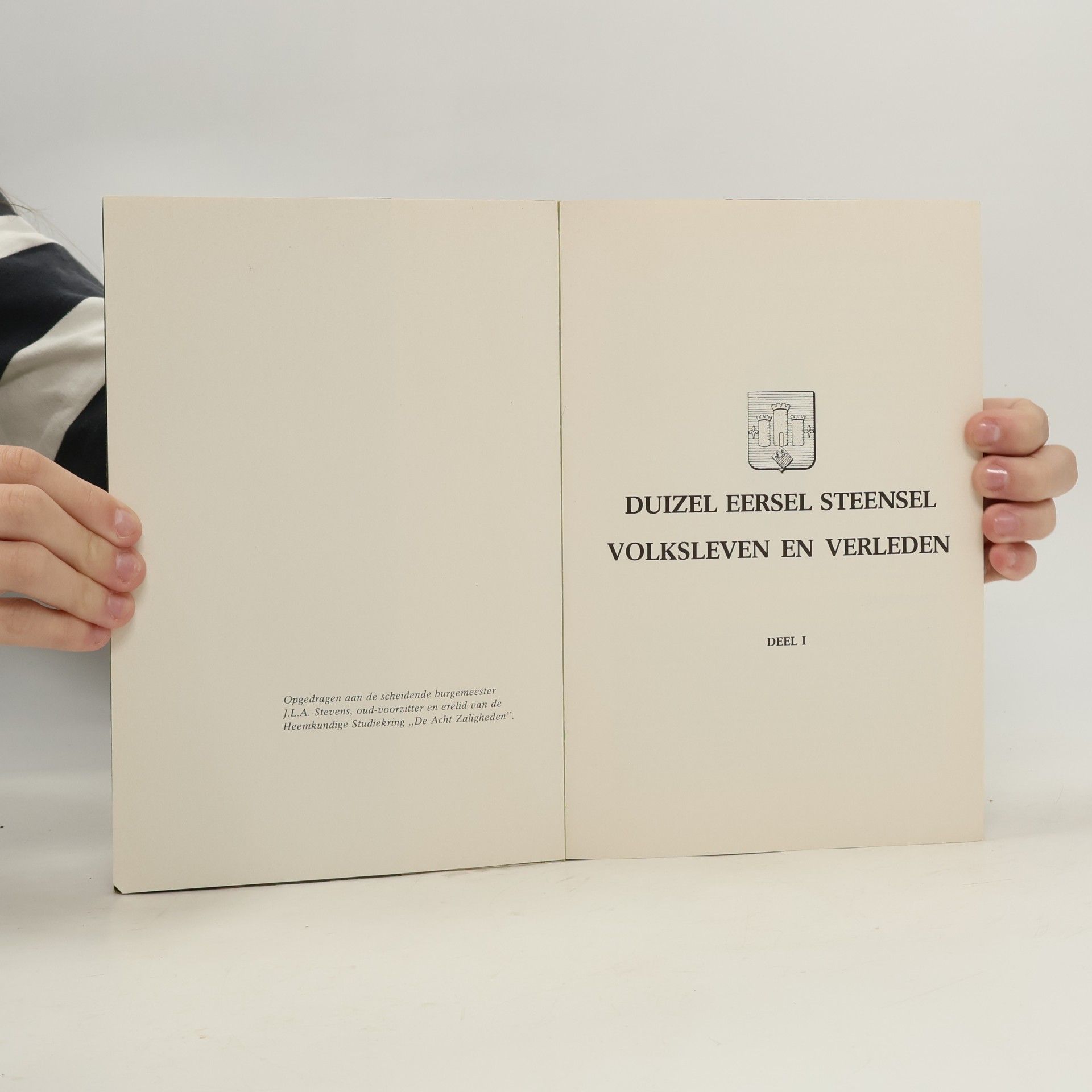 Various authors Duizel Eersel Steensel
