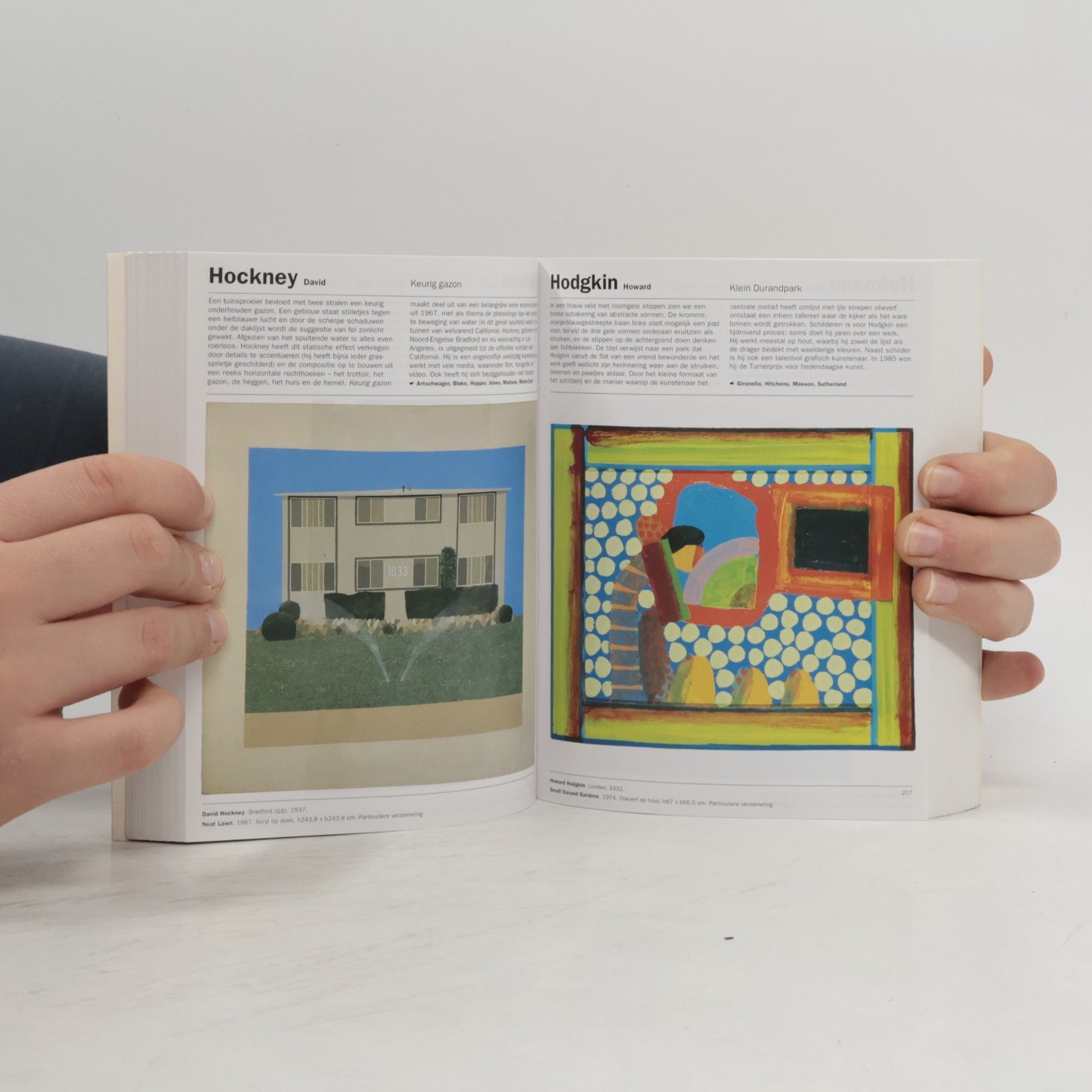 Rachel Barnes De kunst van de 20ste eeuw