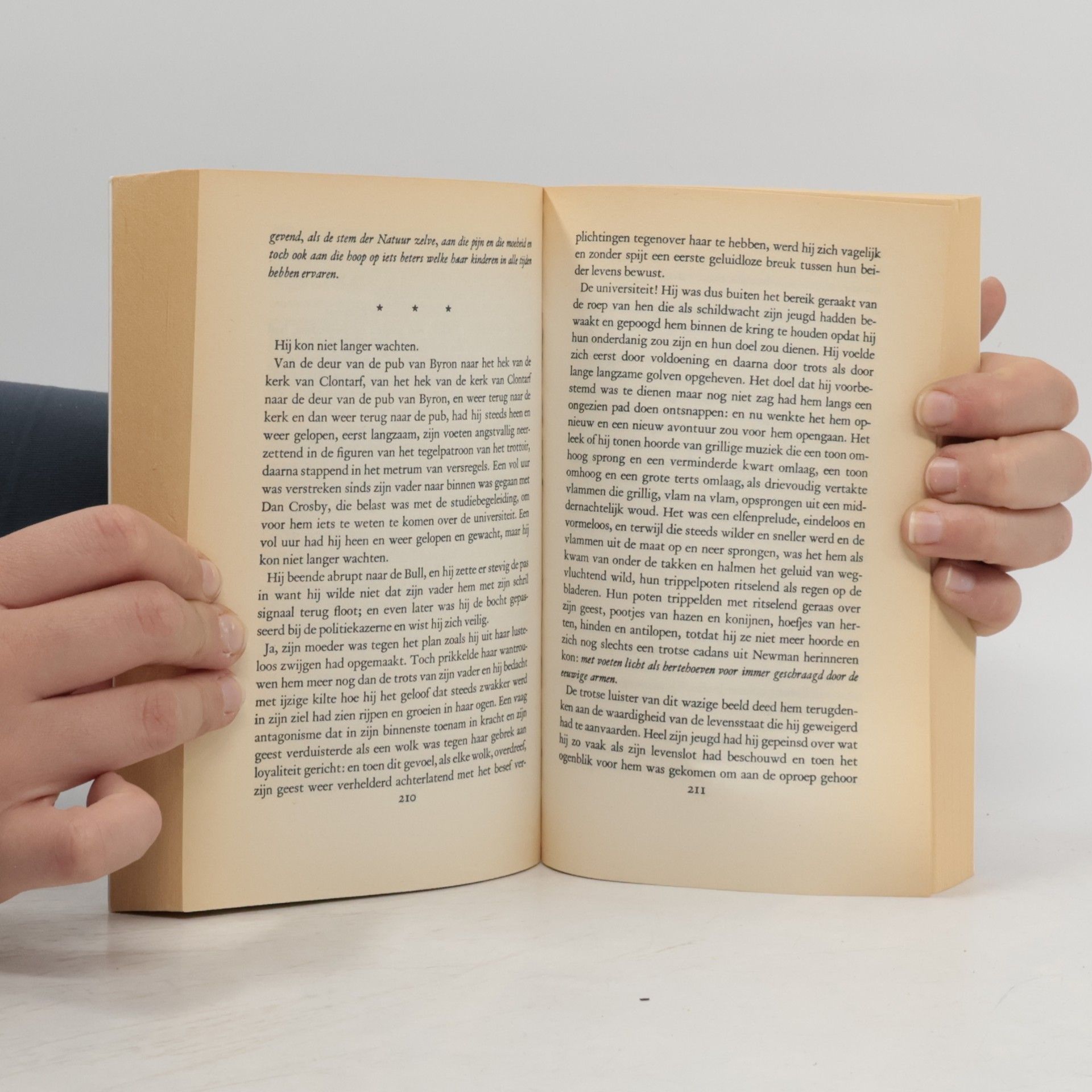 Joyce, James Een portret van de kunstenaar als jongeman (Bezige Bij paperback, 7)