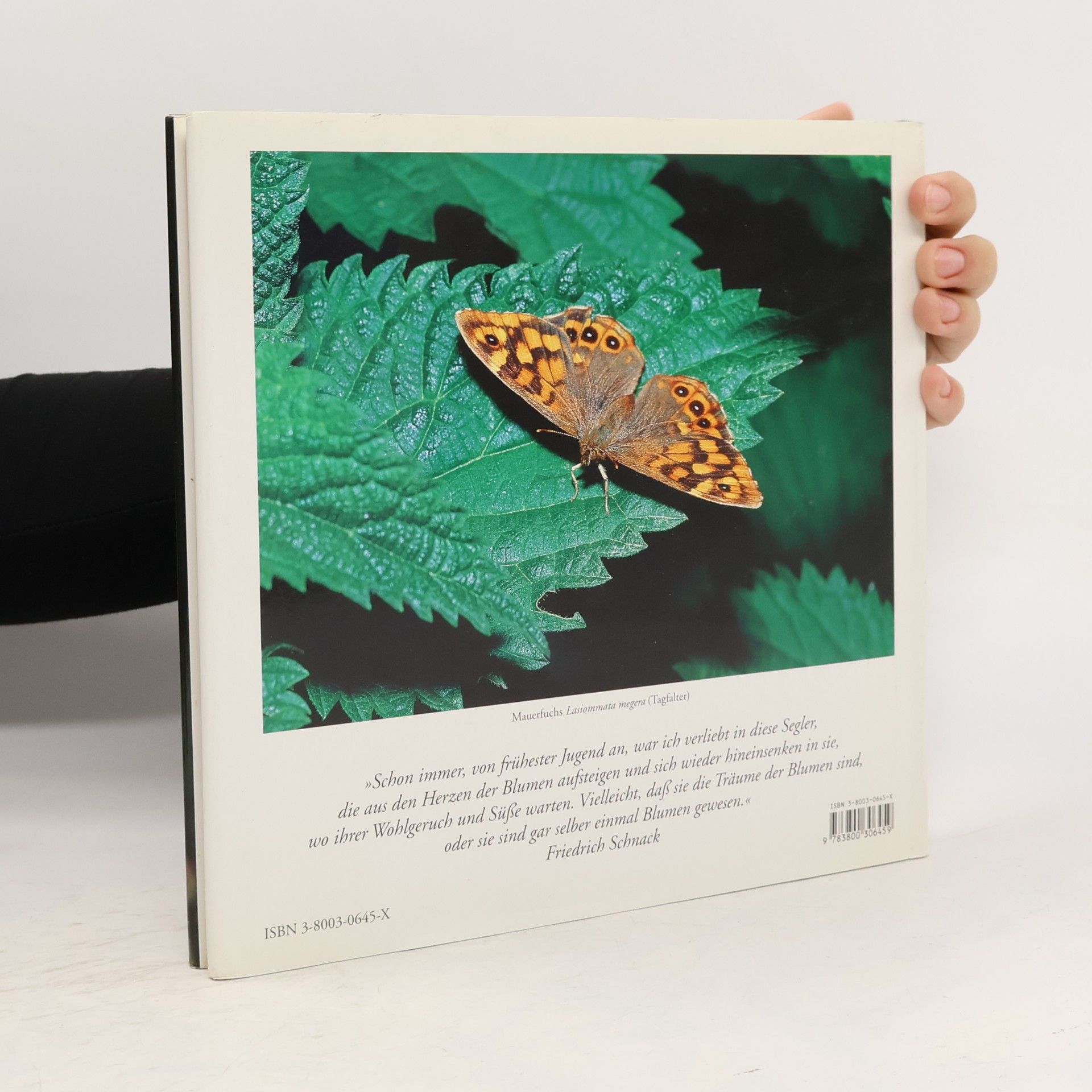 Martin Siepmann Das Buch der Schmetterlinge