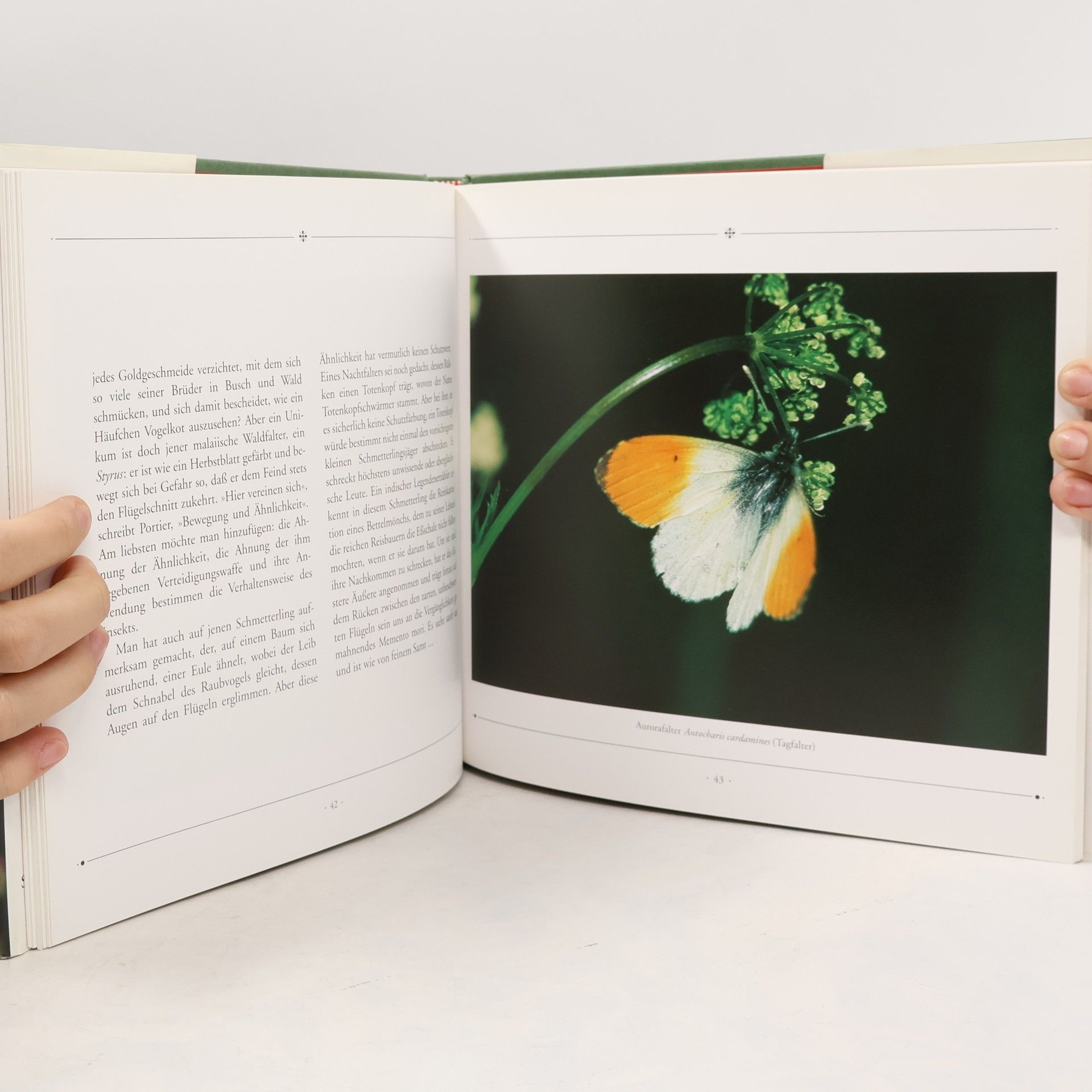 Martin Siepmann Das Buch der Schmetterlinge