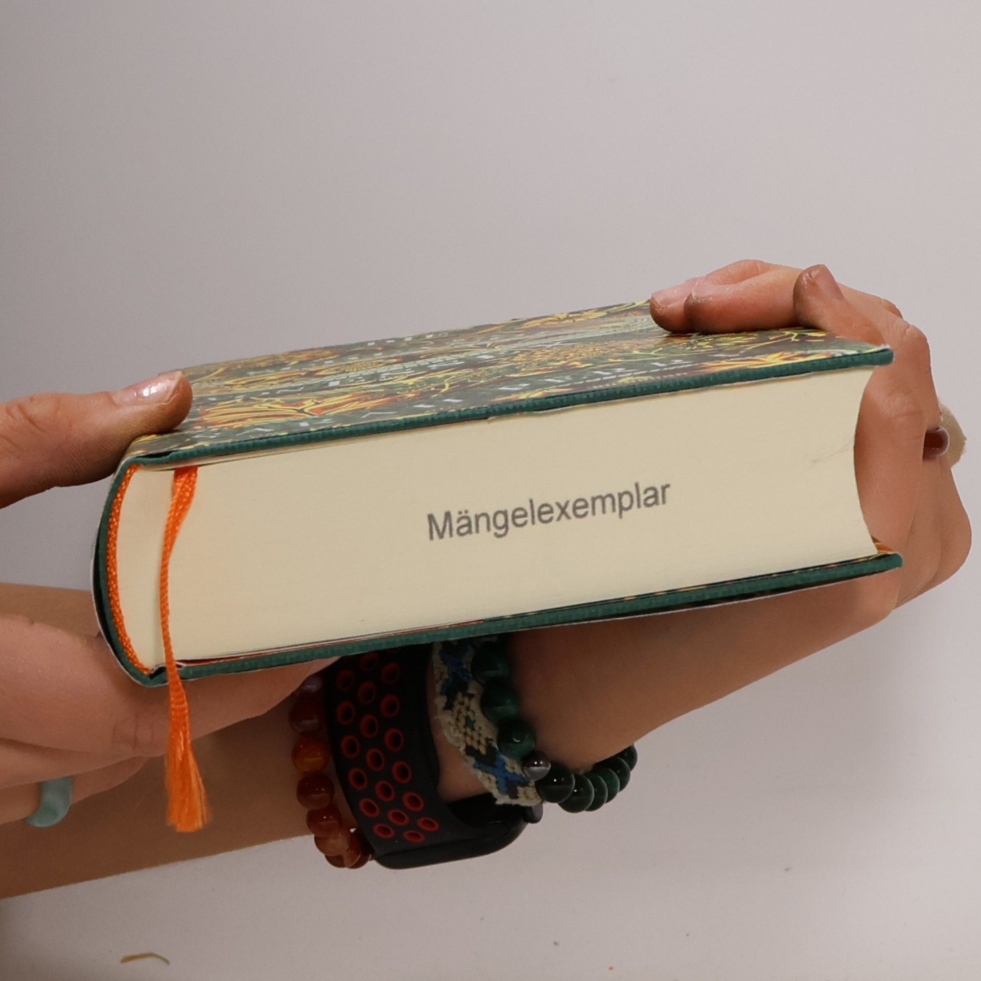 Sarah Perry Die Schlange von Essex