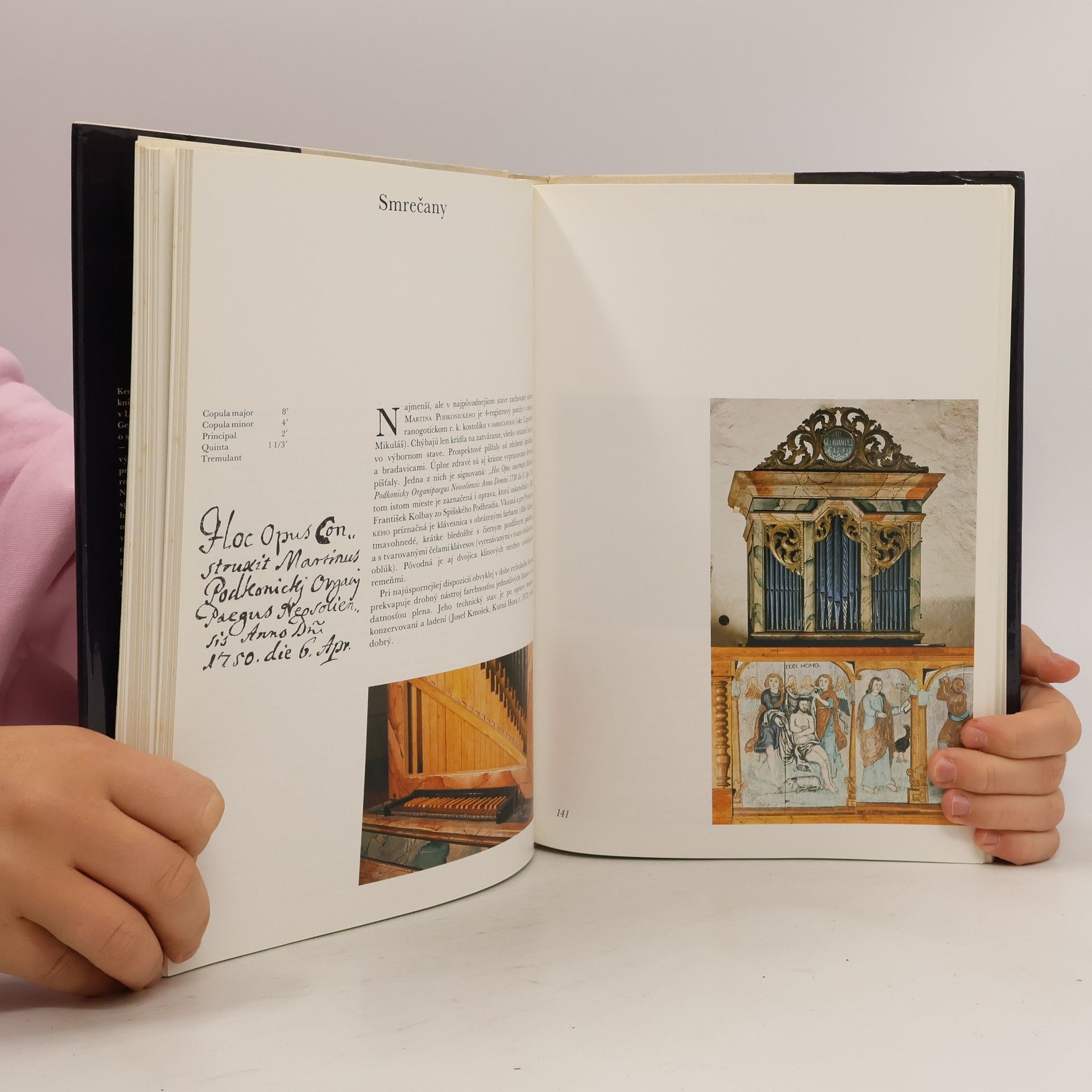 Roman Bunčák Historické organy na Slovensku. Historische Orgeln in der Slowakai