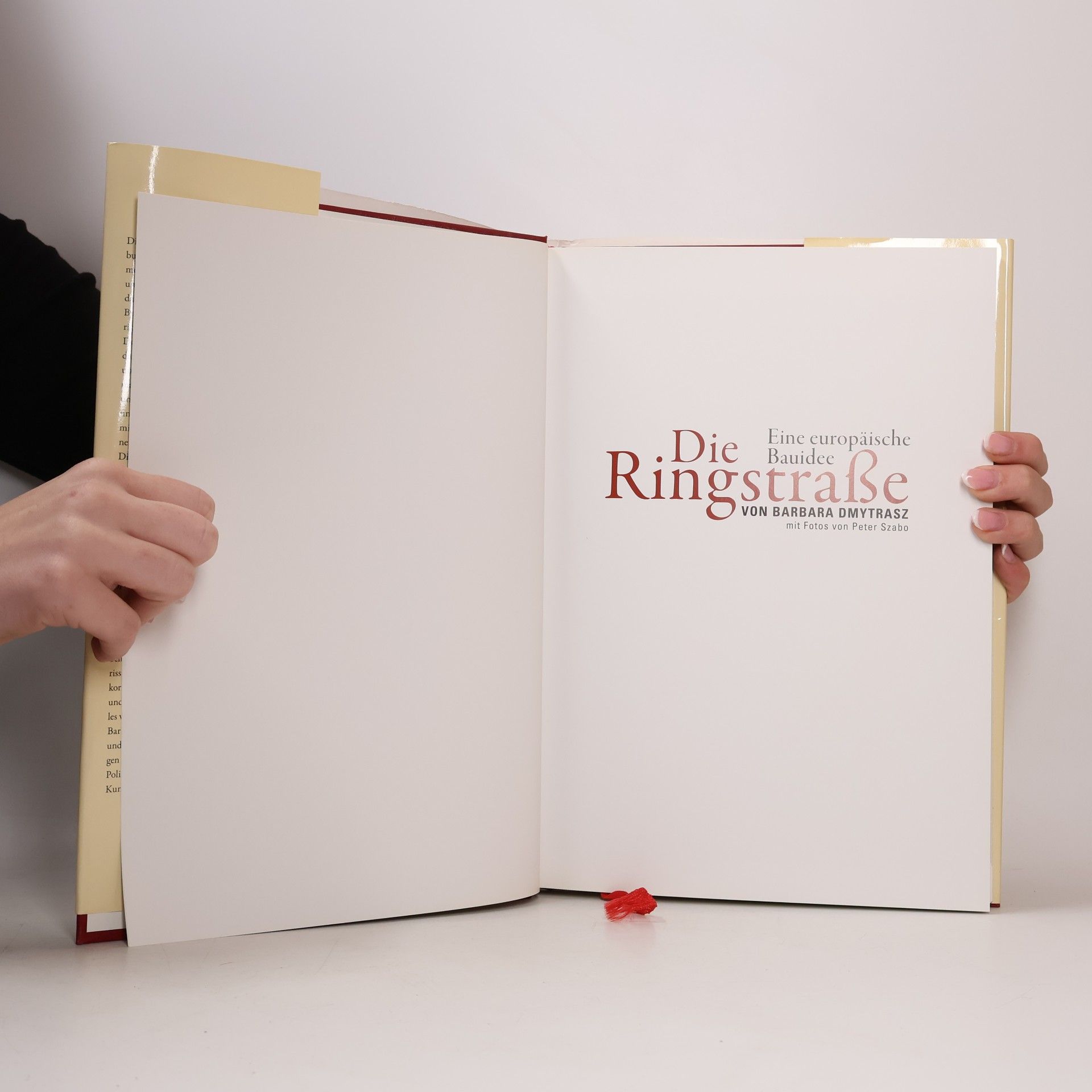 Barbara Dmytrasz Die Ringstraße