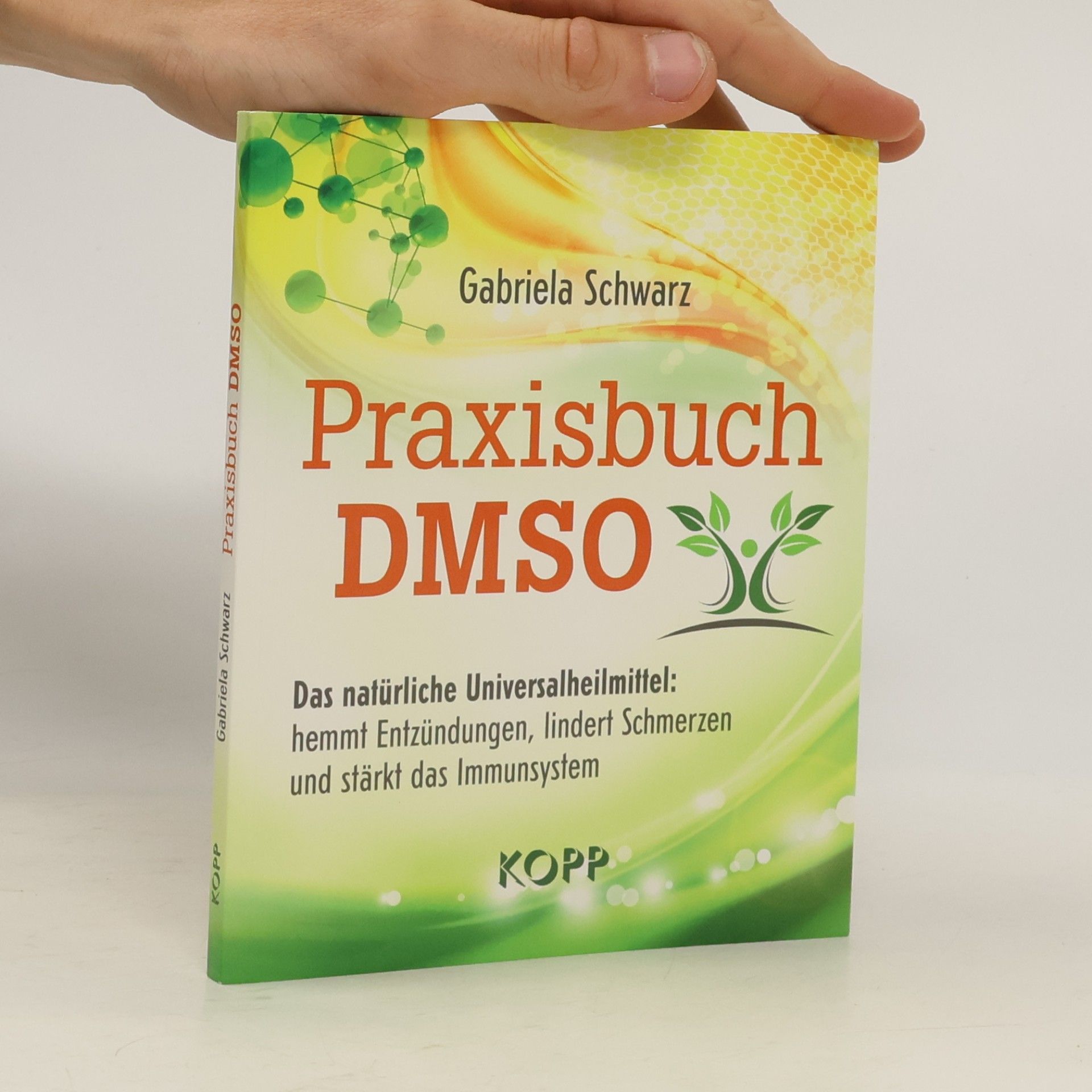 Praxisbuch DMSO