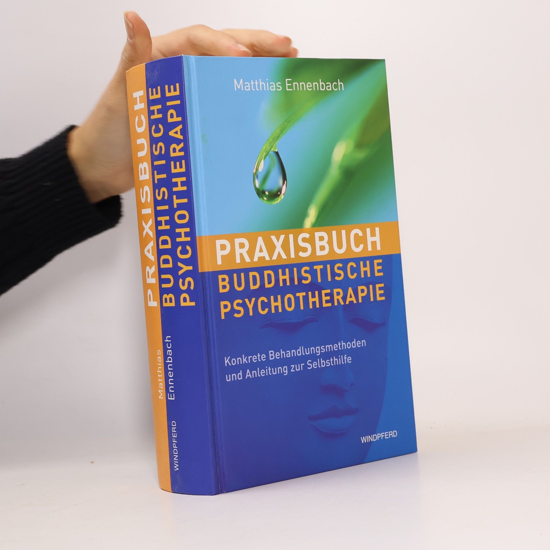 Praxisbuch buddhistische Psychotherapie