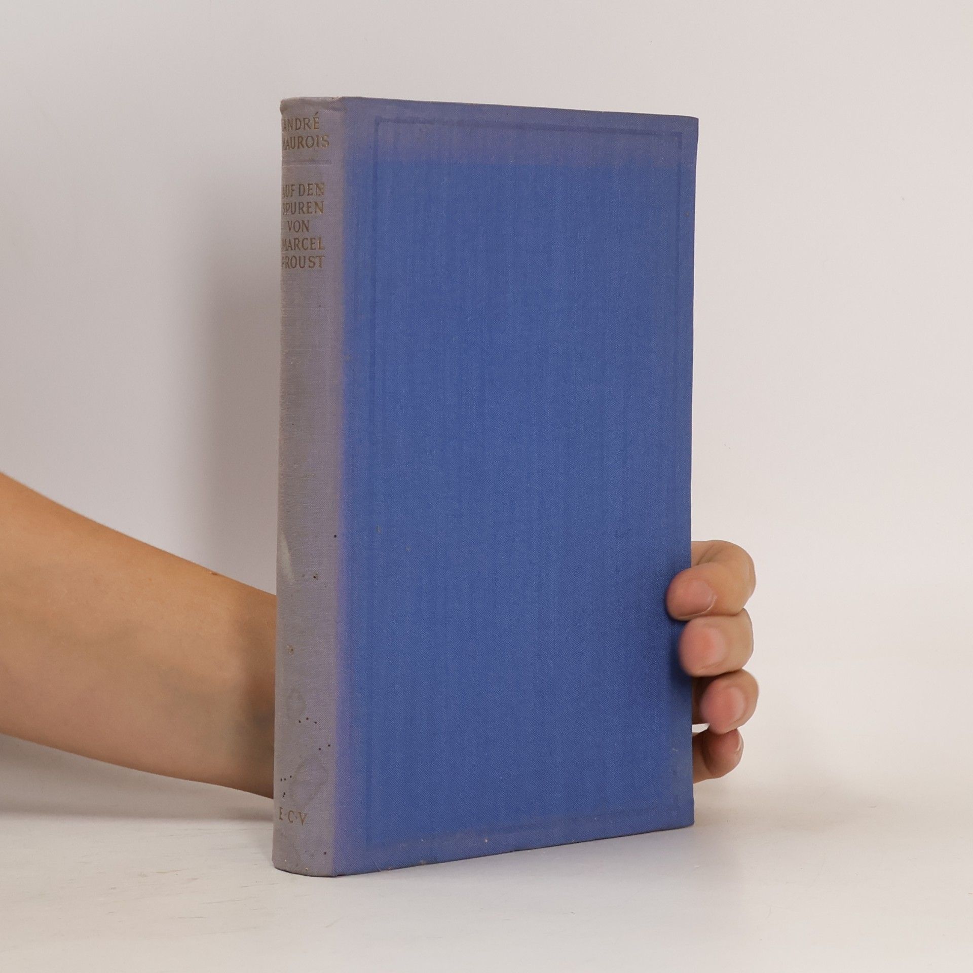 Auf den Spuren von Marcel Proust
