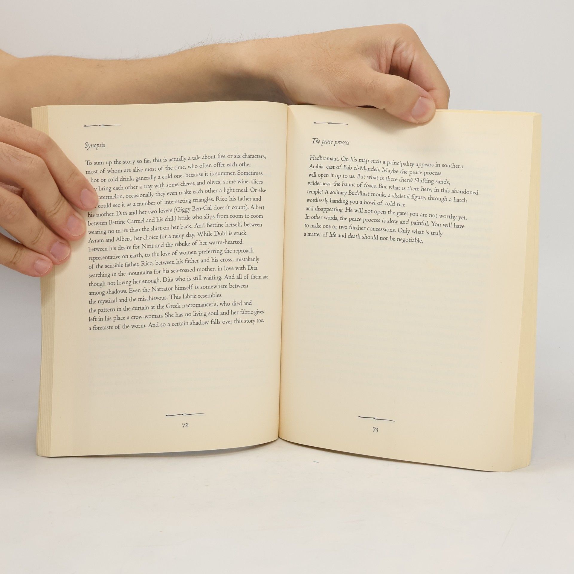 Amos Oz The Same Sea