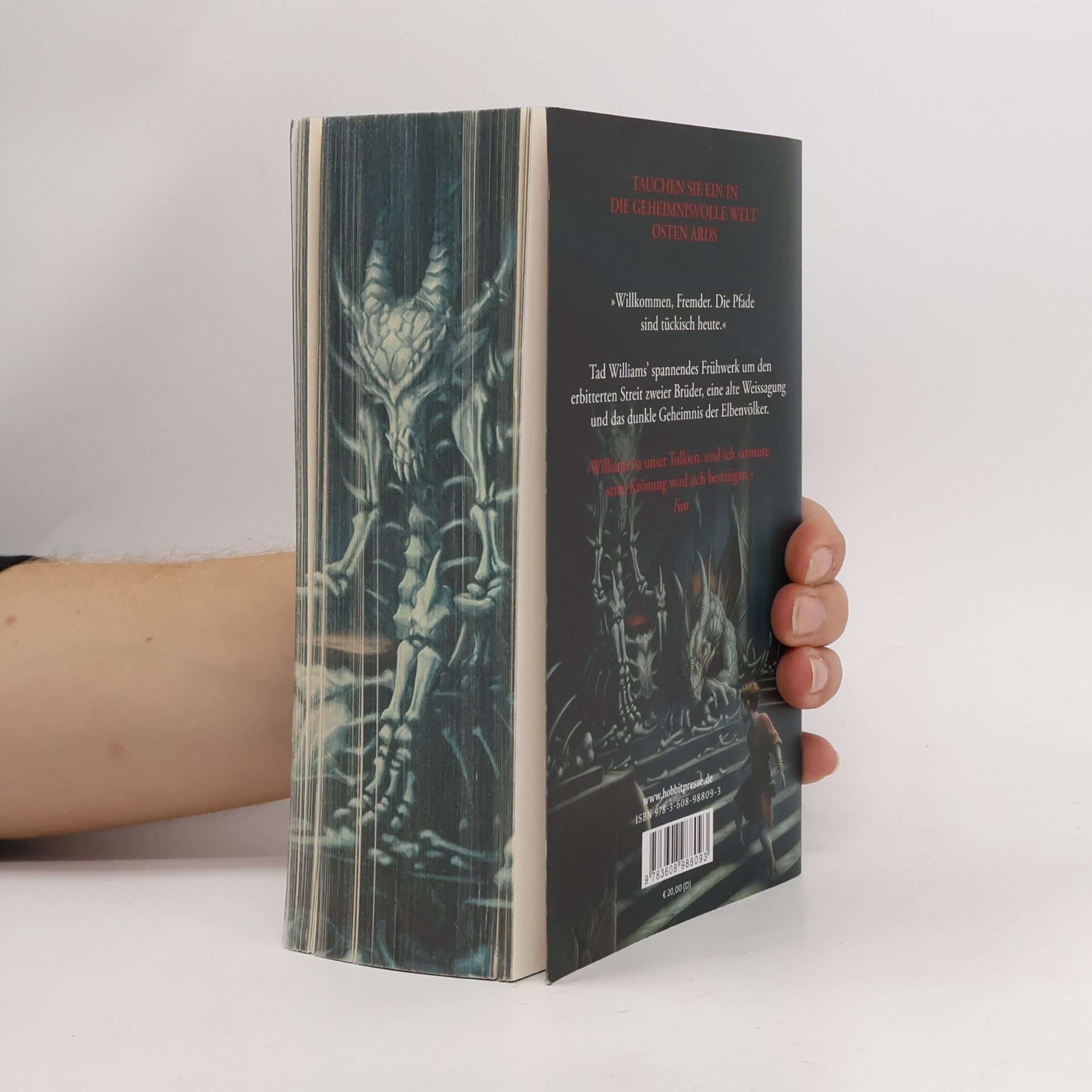 Tad Williams Der Drachenbeinthron. Das Geheimnis der Großen Schwerter 1