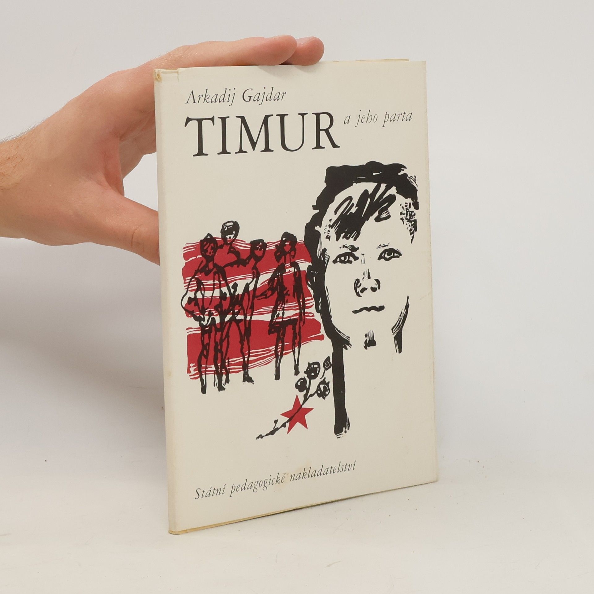Timur a jeho parta