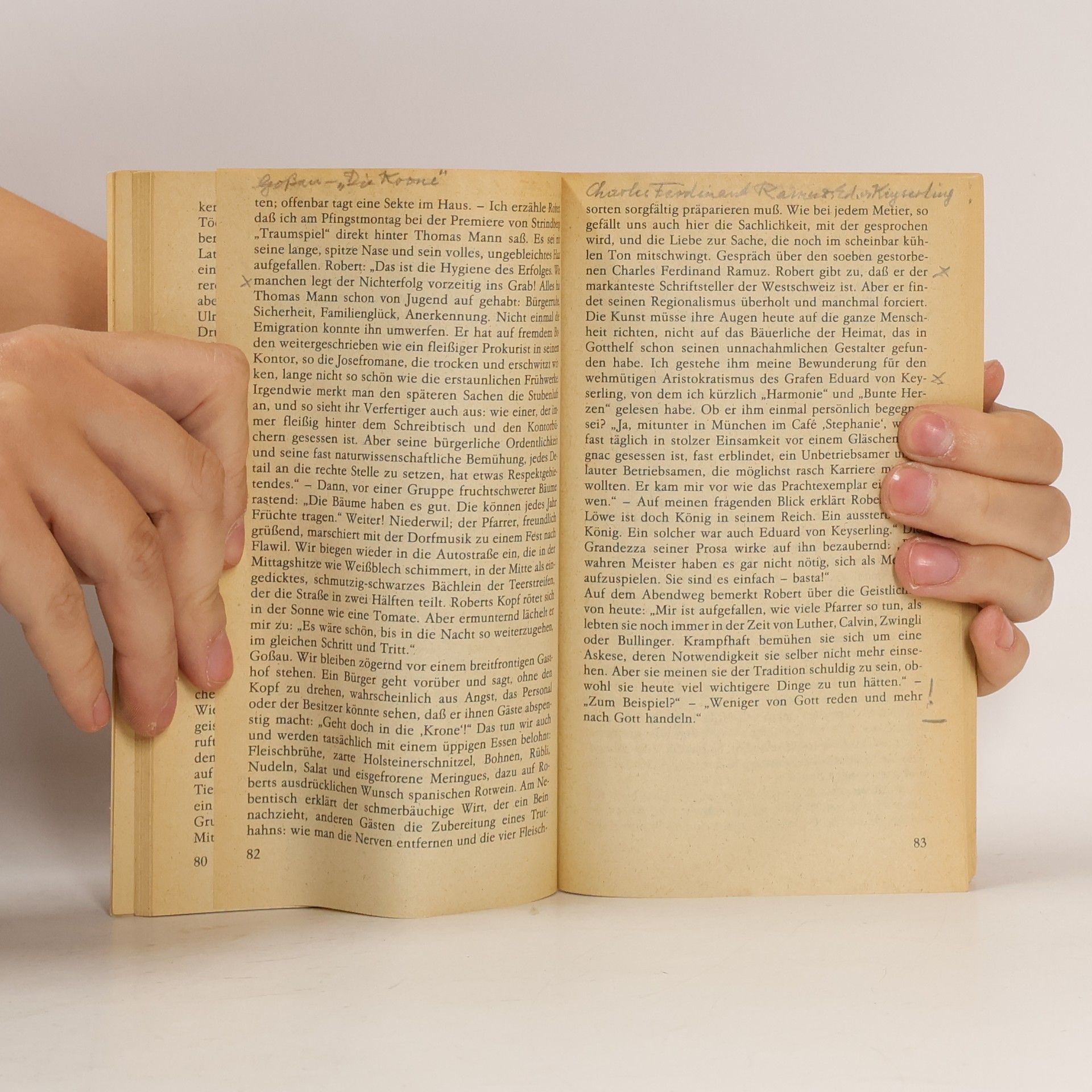 Carl Seelig Wanderungen mit Robert Walser