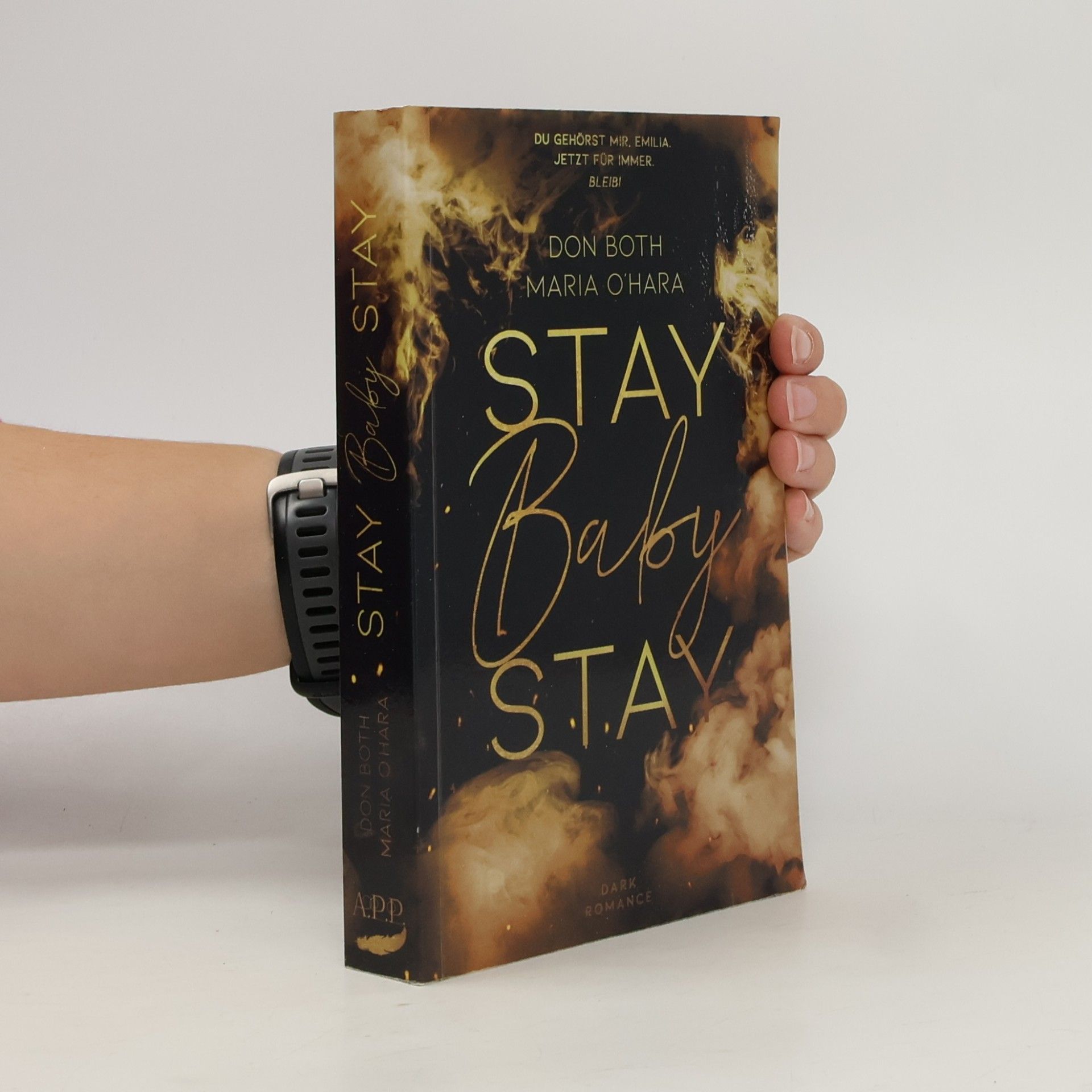 Stay Baby Stay (Mason & Emilia, Band 3)