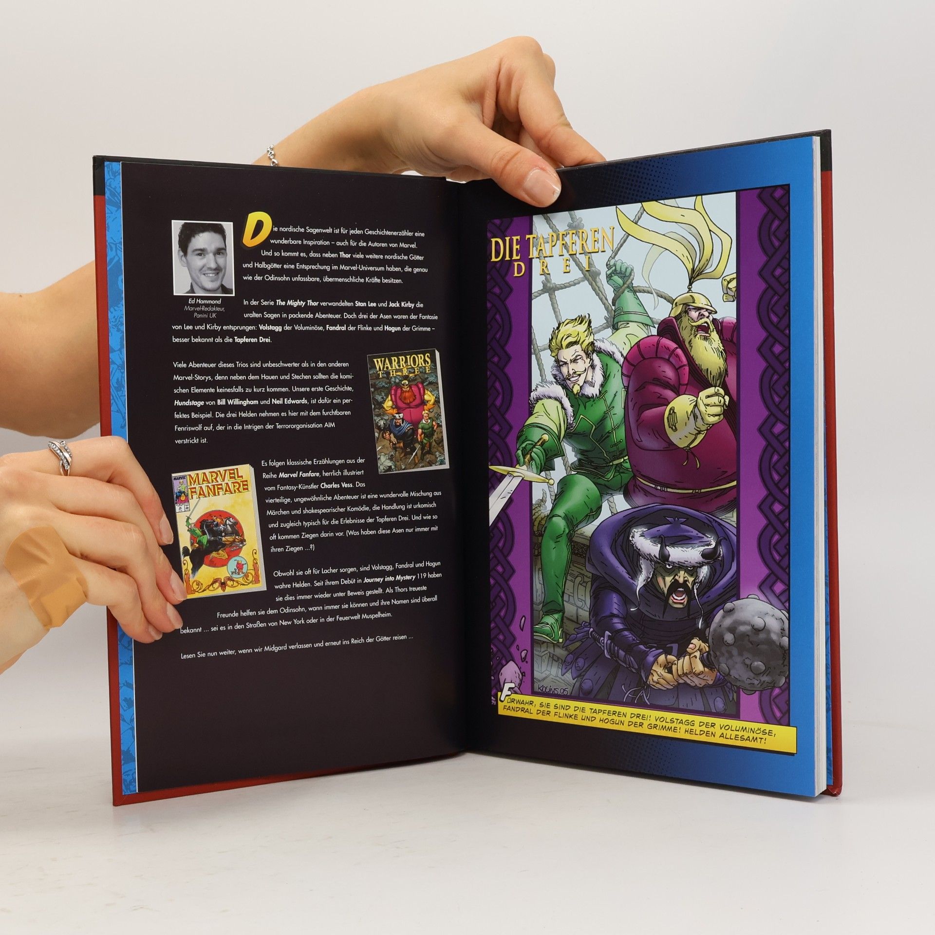 Kolektív autorov Marvel - Die Superhelden-Sammlung 32. Die Tapferen Drei