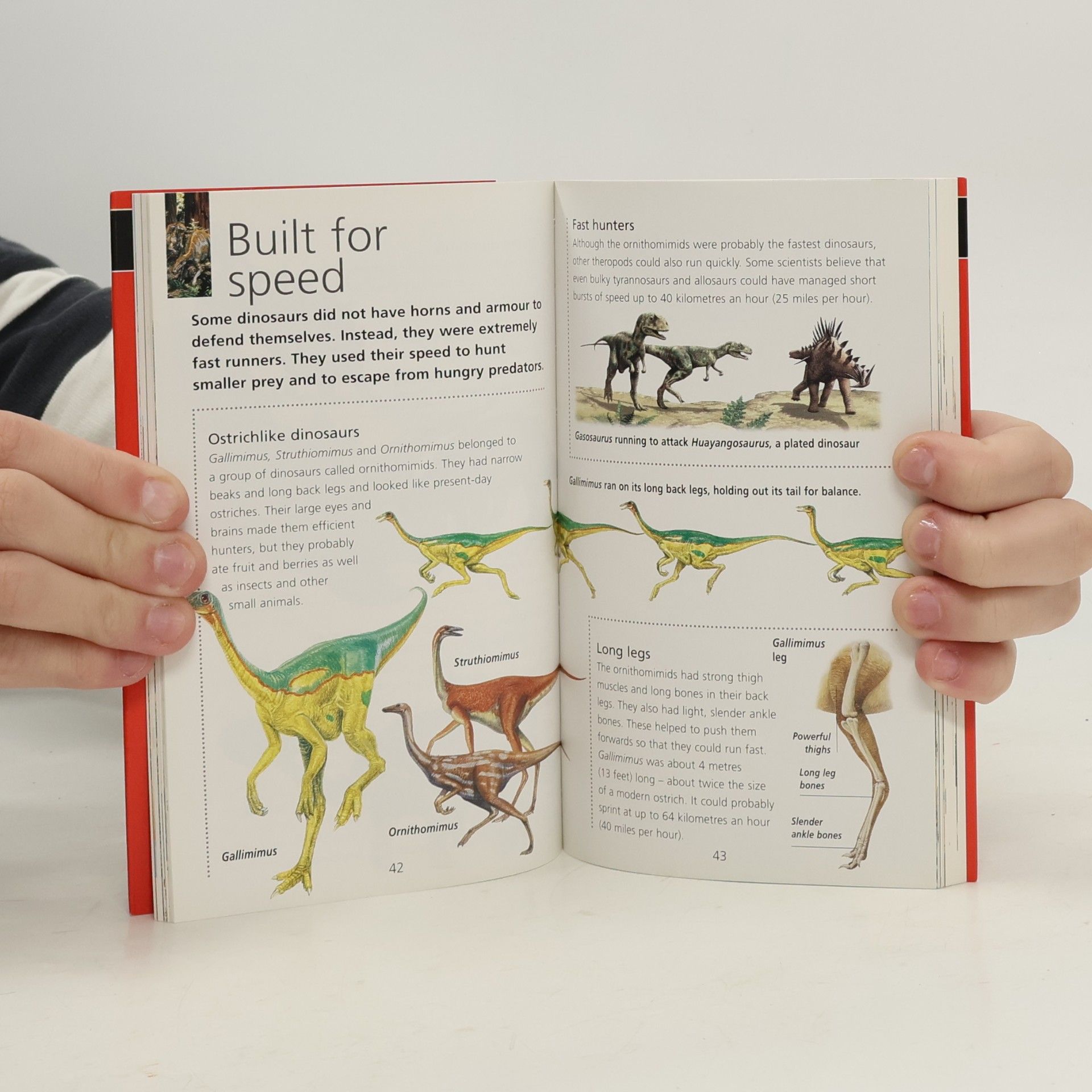 Sue Nicholson Marshall Mini: Dinosaurs